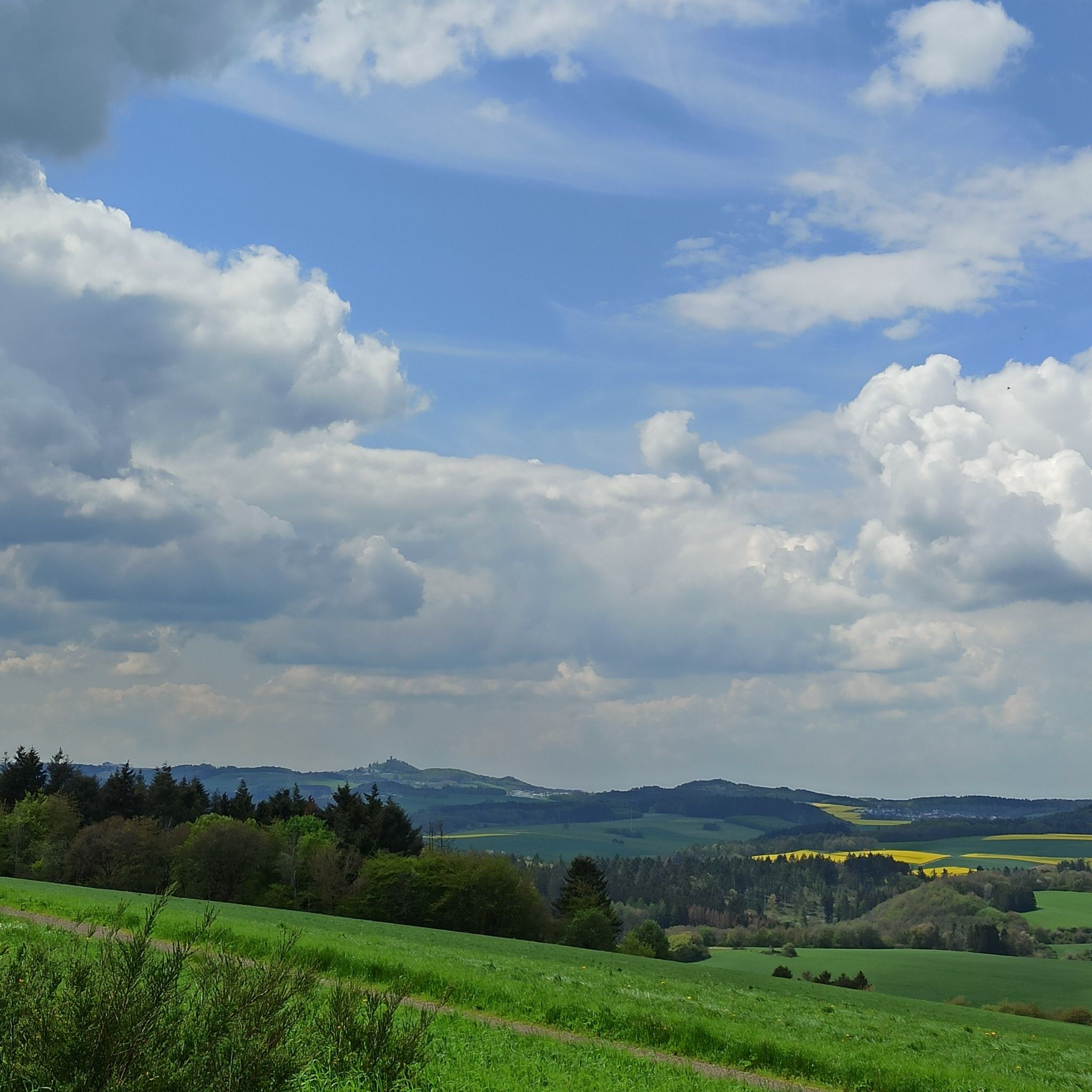 Blick auf die Nürburg