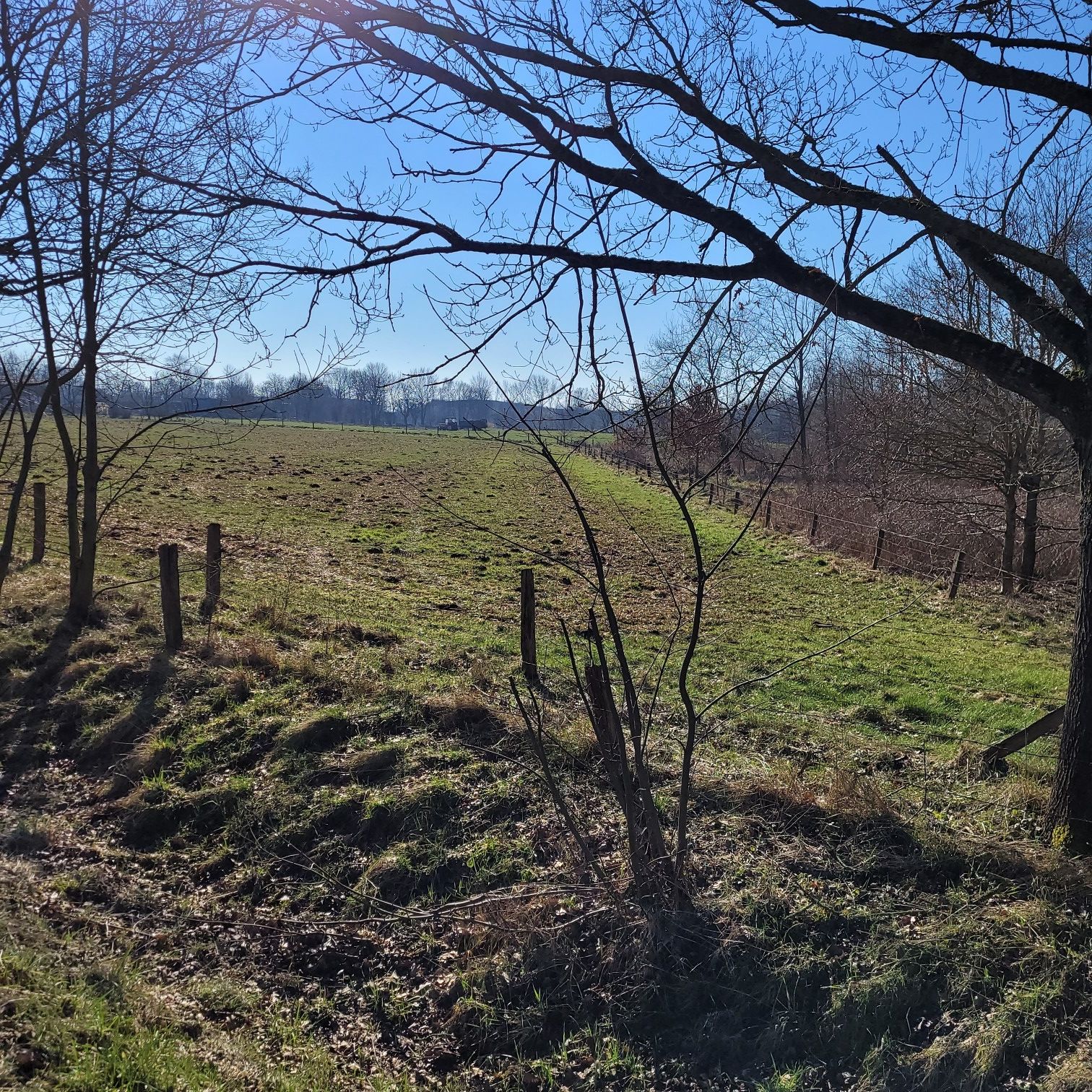 schade, dass es noch keine 'Geruchsfotos' gibt. Hier wird gerade Stalldung auf dem Feld verteilt ..... ich falle fast vom Rad .. .