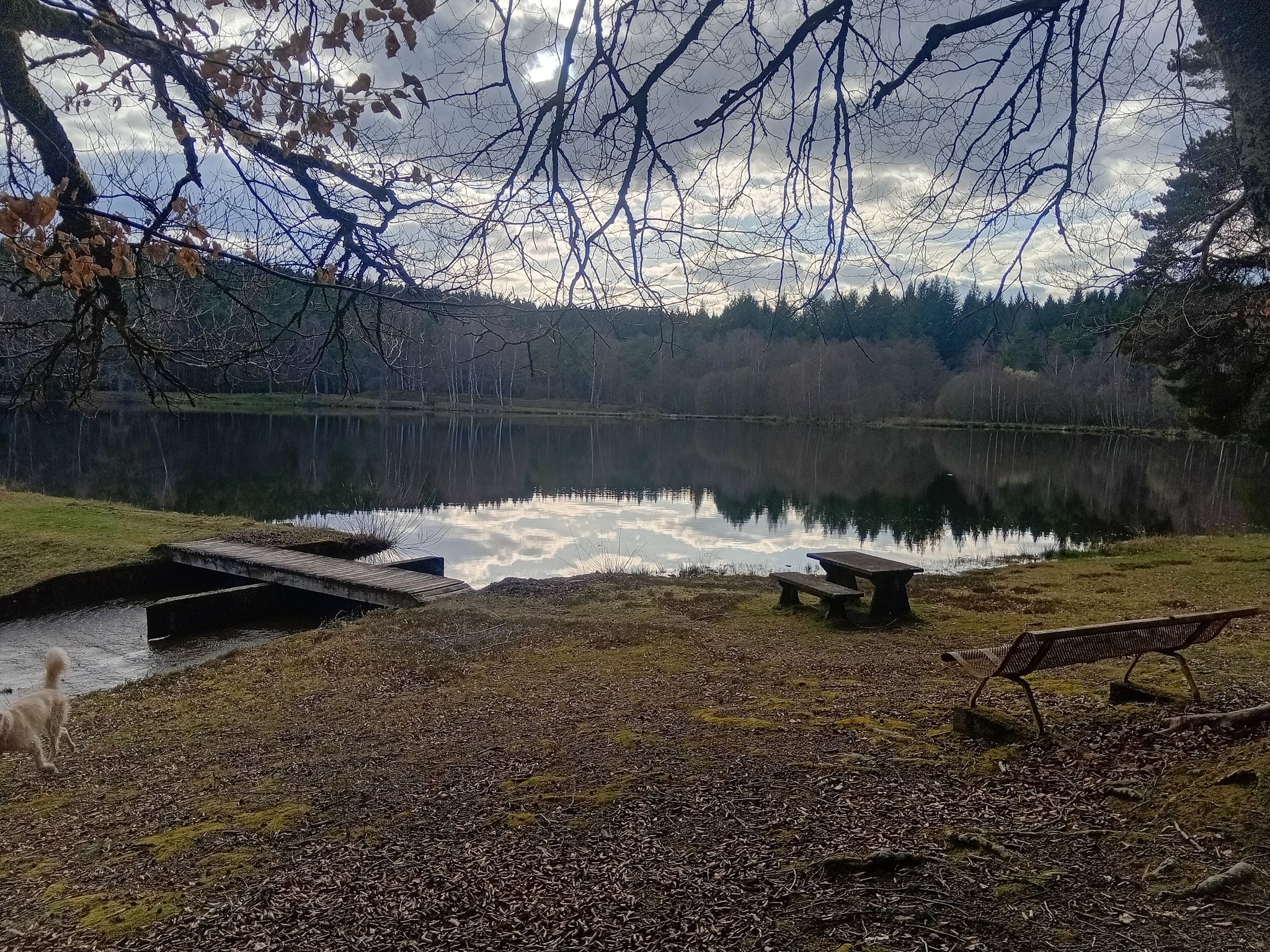 etang