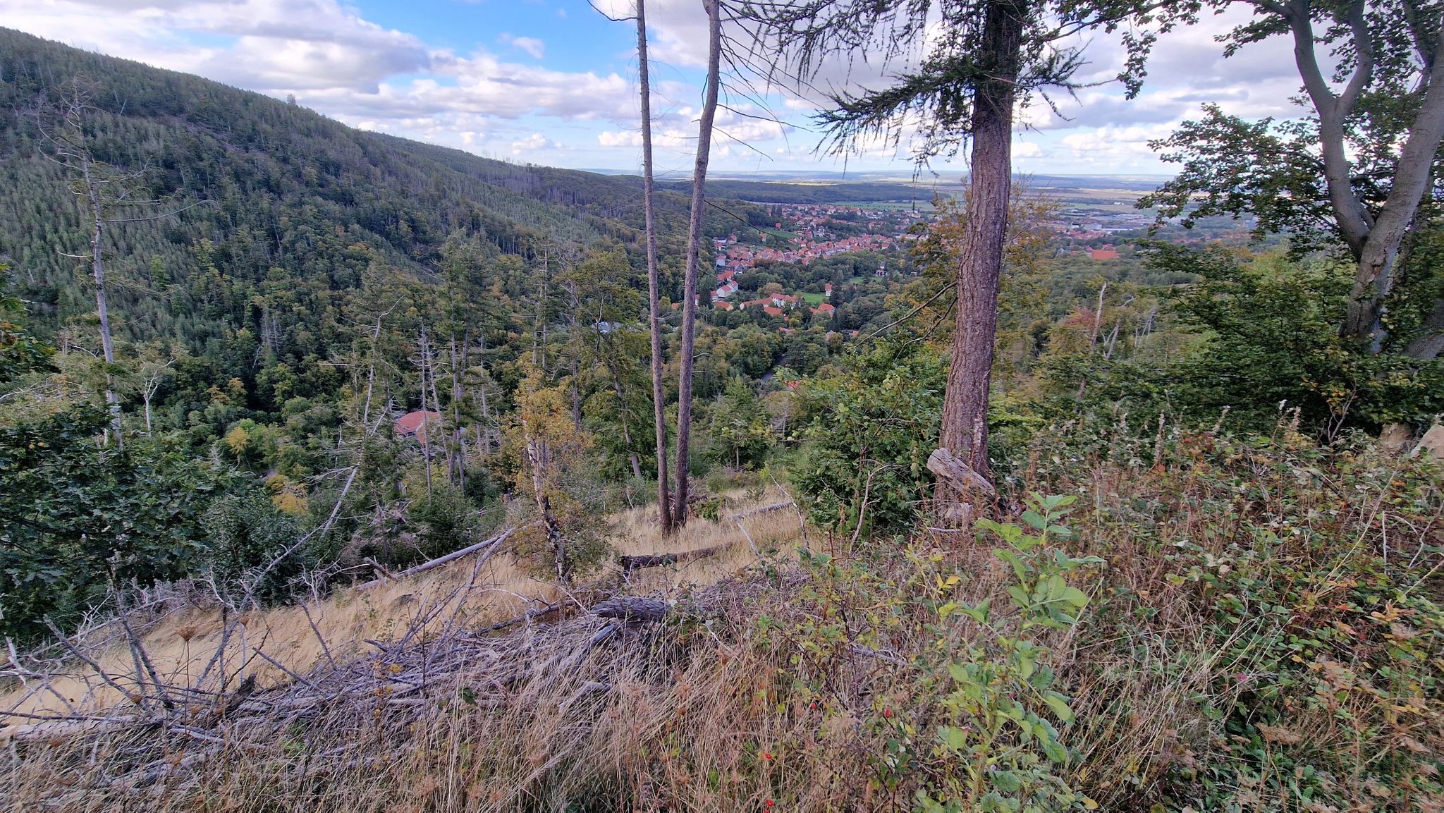 Ilsenburg