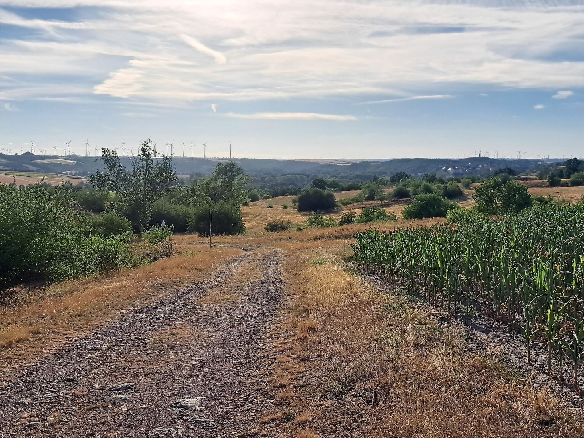 Blick ins Land (Richtung Wettin)