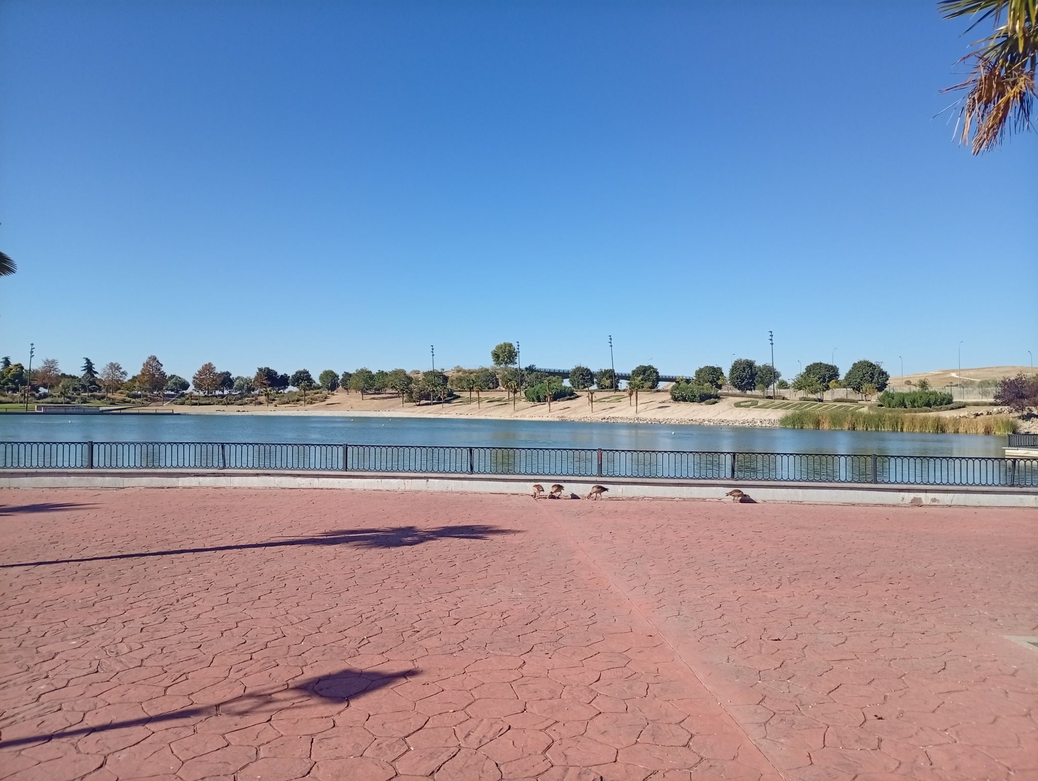parque lago del quiñón Seseña