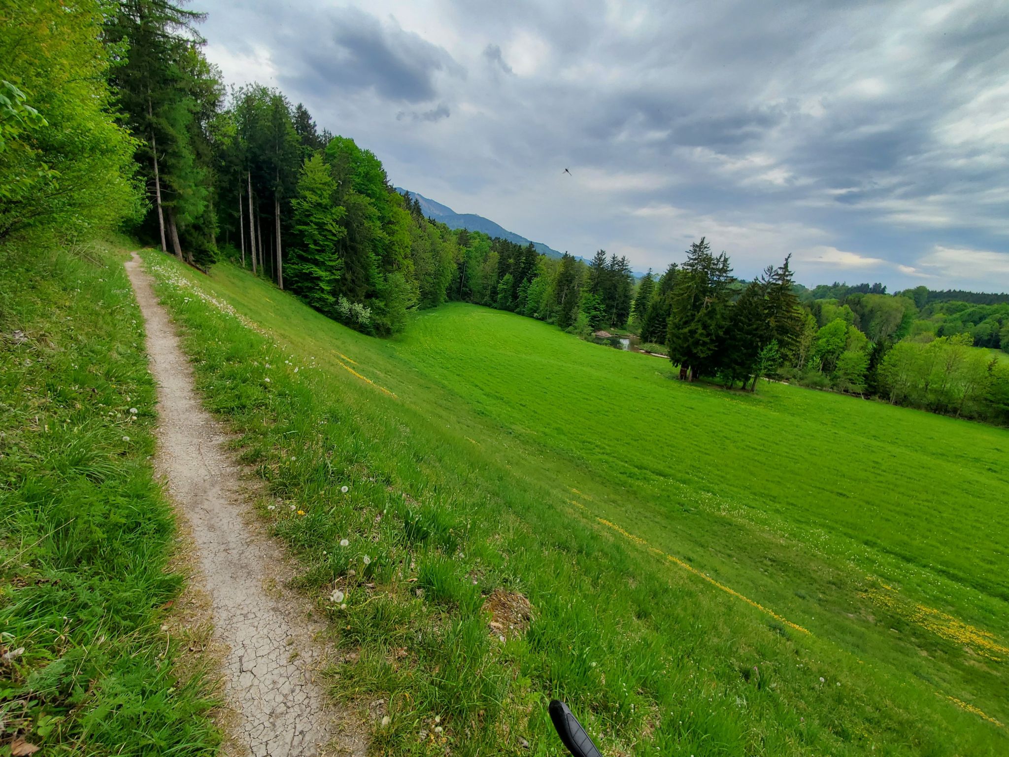 Klasse Wiesentrail bei Dösdorf