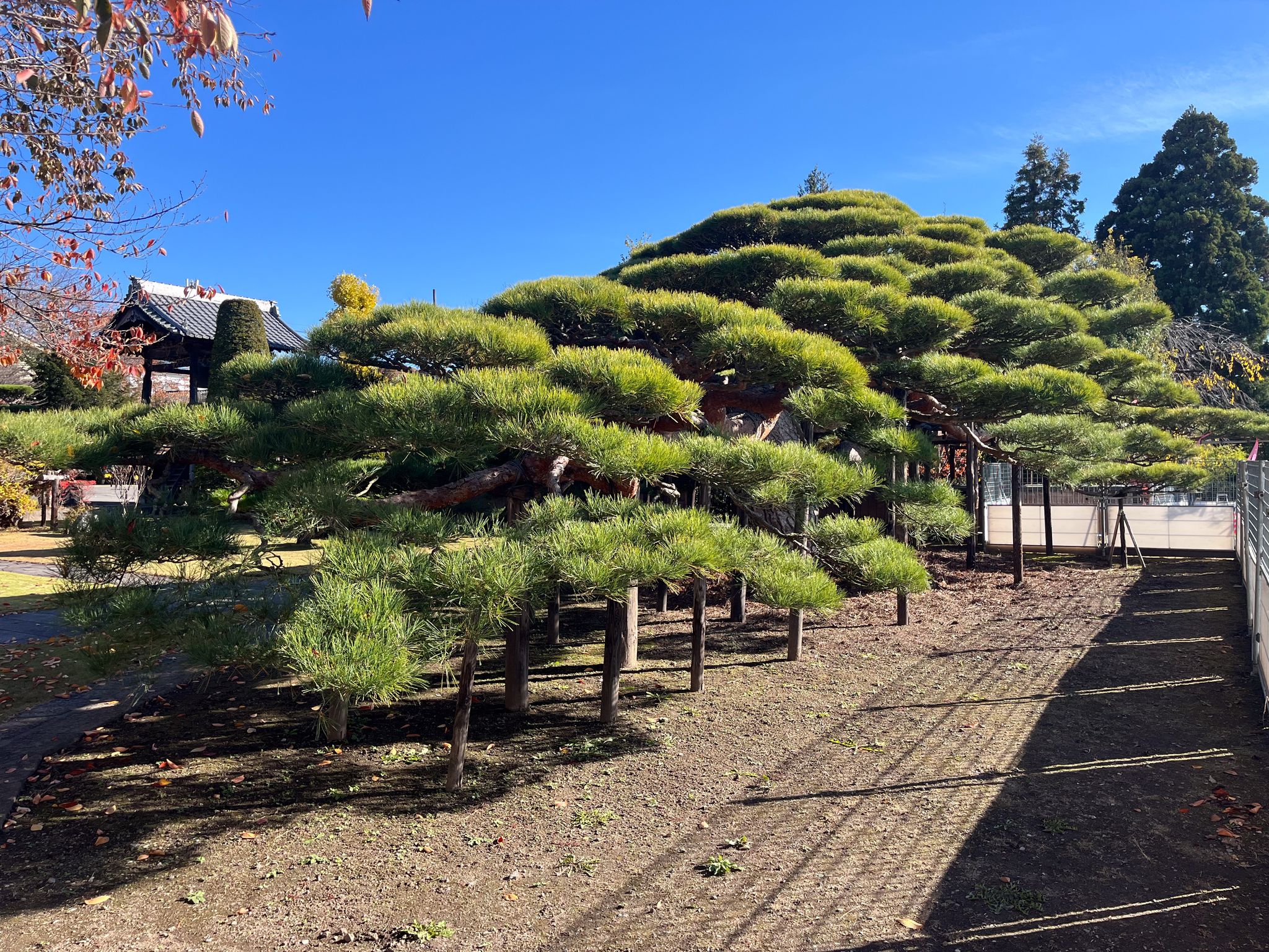 "Kaiouin" Temple