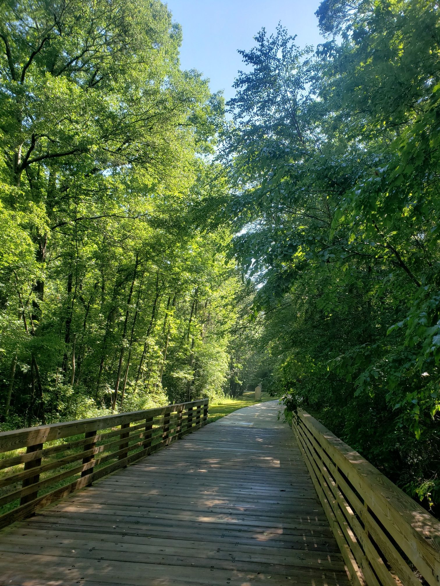 A long wooden boardwalk extends through a vibrant green forest under bright sky. - Arabia Mountain PATH Trail