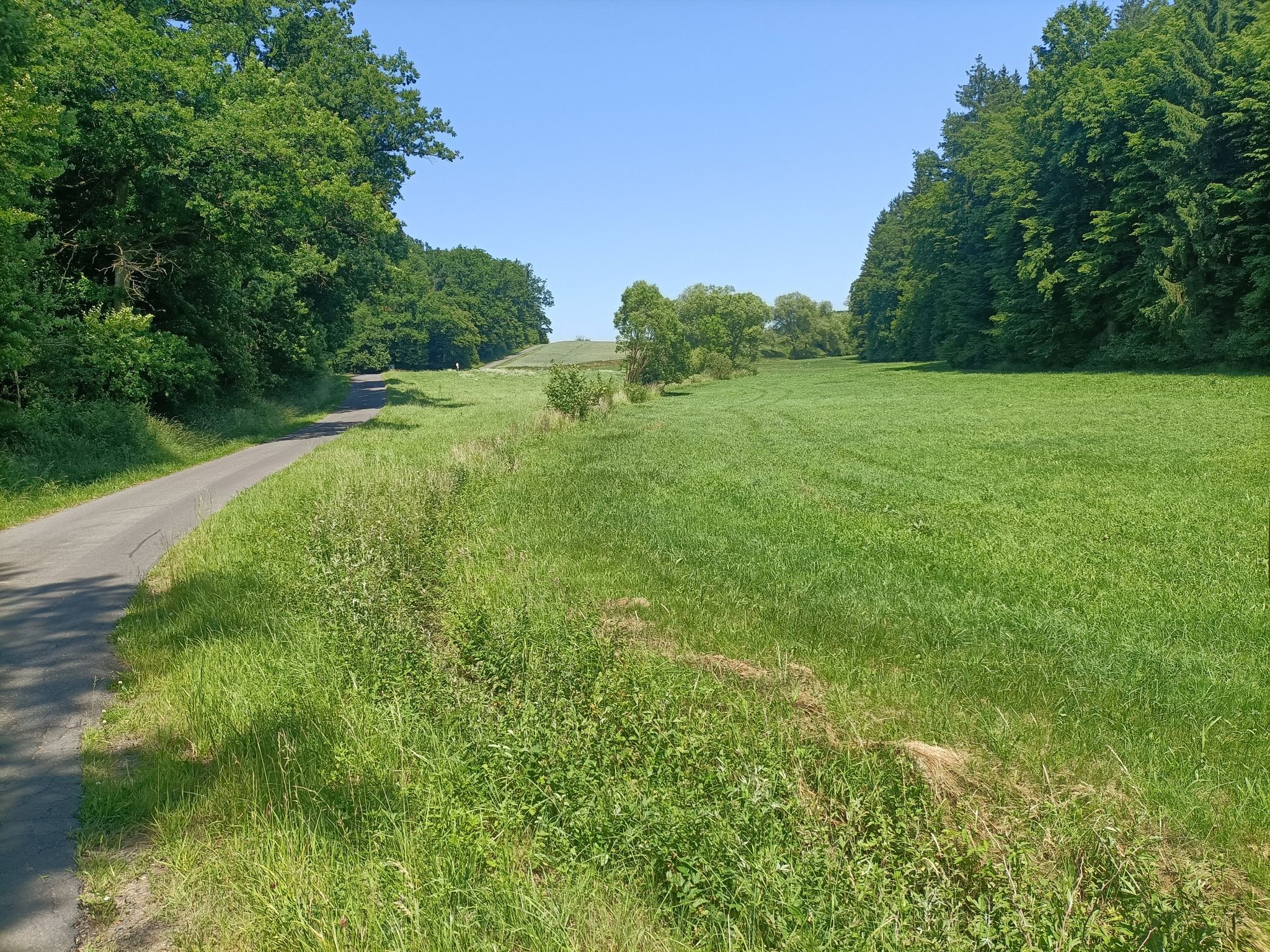 Bei Dippach