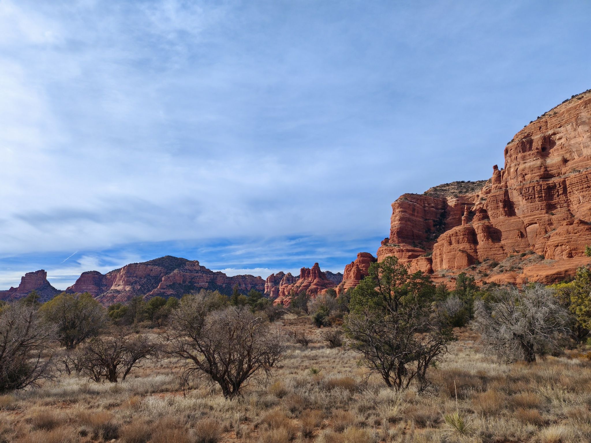 Red rock formations under a partly cloudy sky, with desert shrubs in foreground. - Big Park Loop