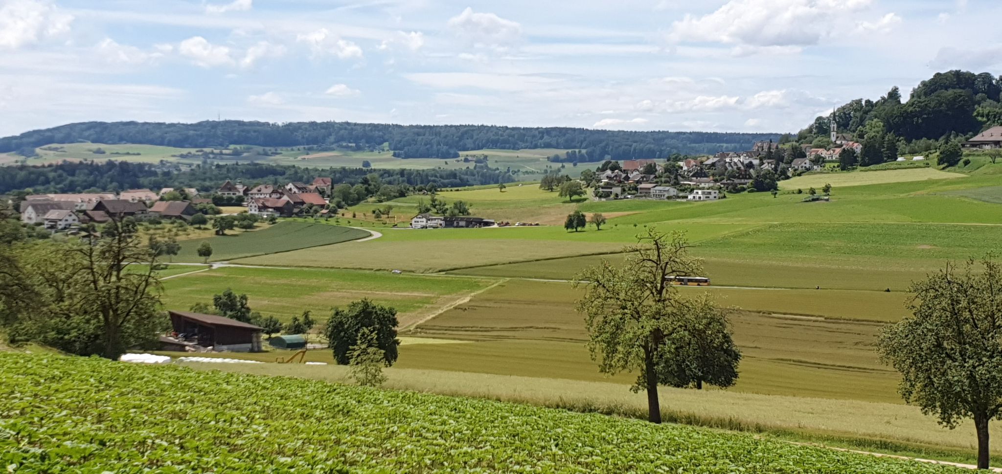 Schneisingen