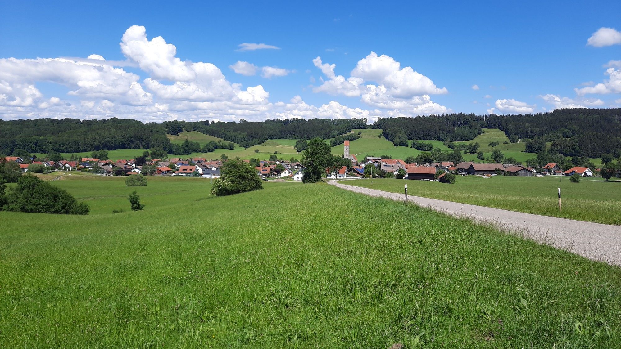 Engetried