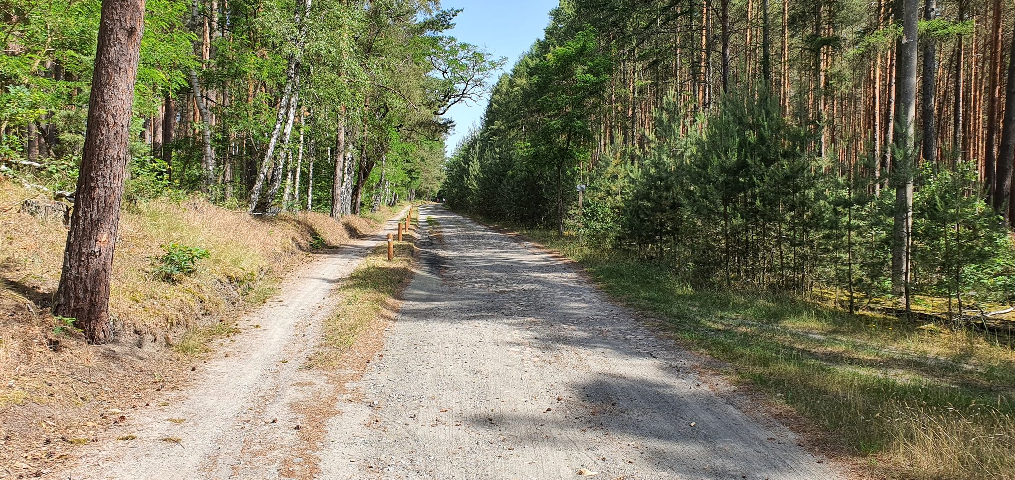 Klötzer Forst