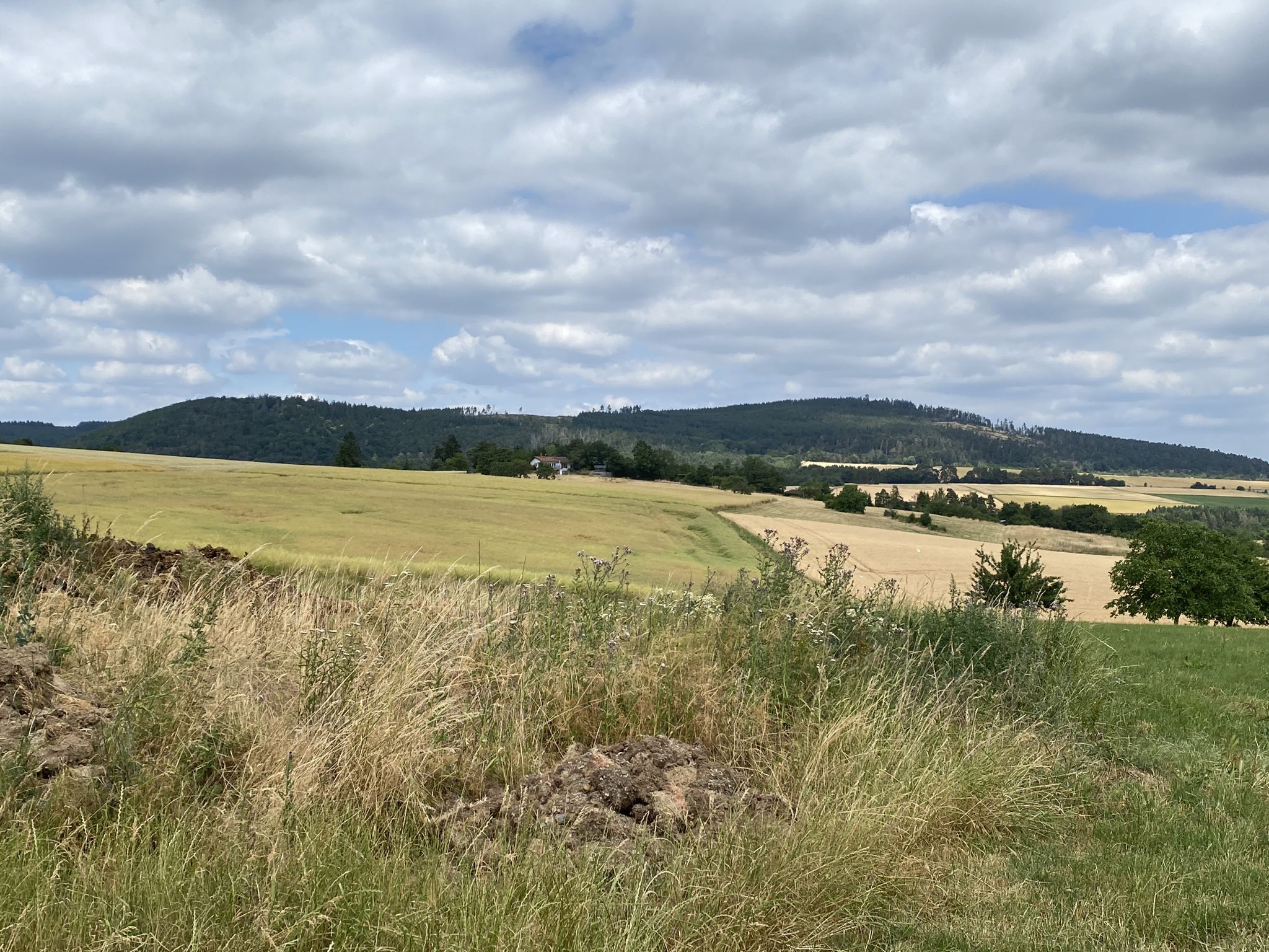 Mü.-Köppel mit Keltenberge (Hausberg)