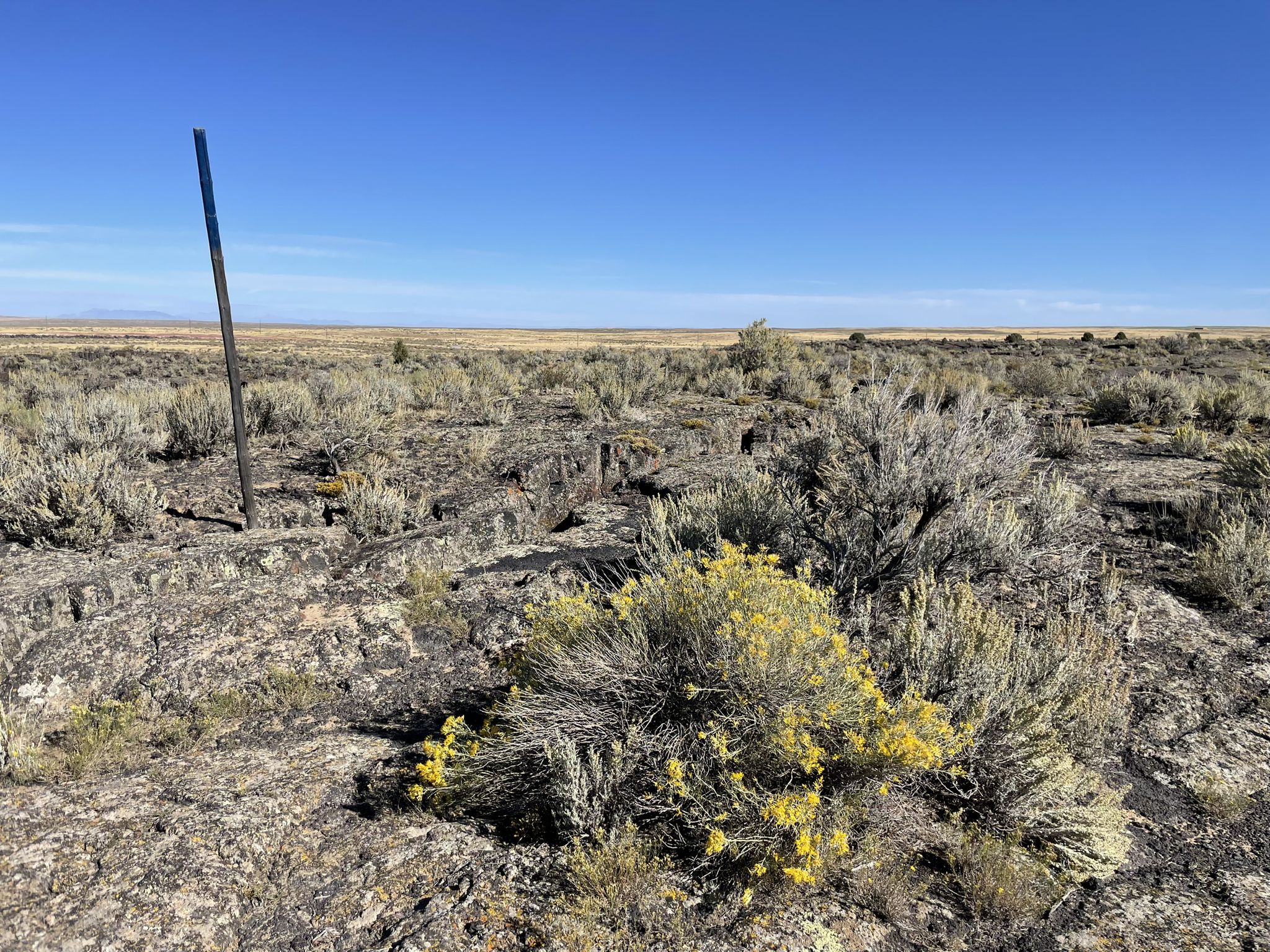 Bright desert landscape with sparse yellow and gray shrubs, a black post, and clear sky. - Lava Loop Trail