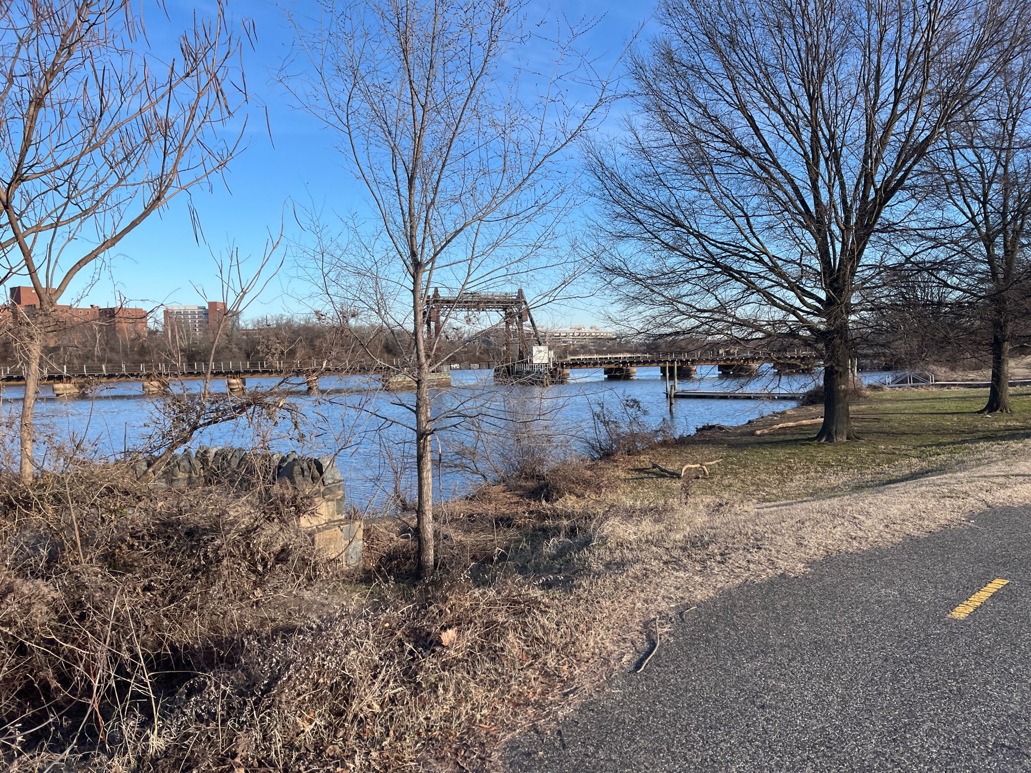 River, distant bridge, bare trees, and a paved path under a clear blue sky. - Kingman Lake loop from District of Columbia