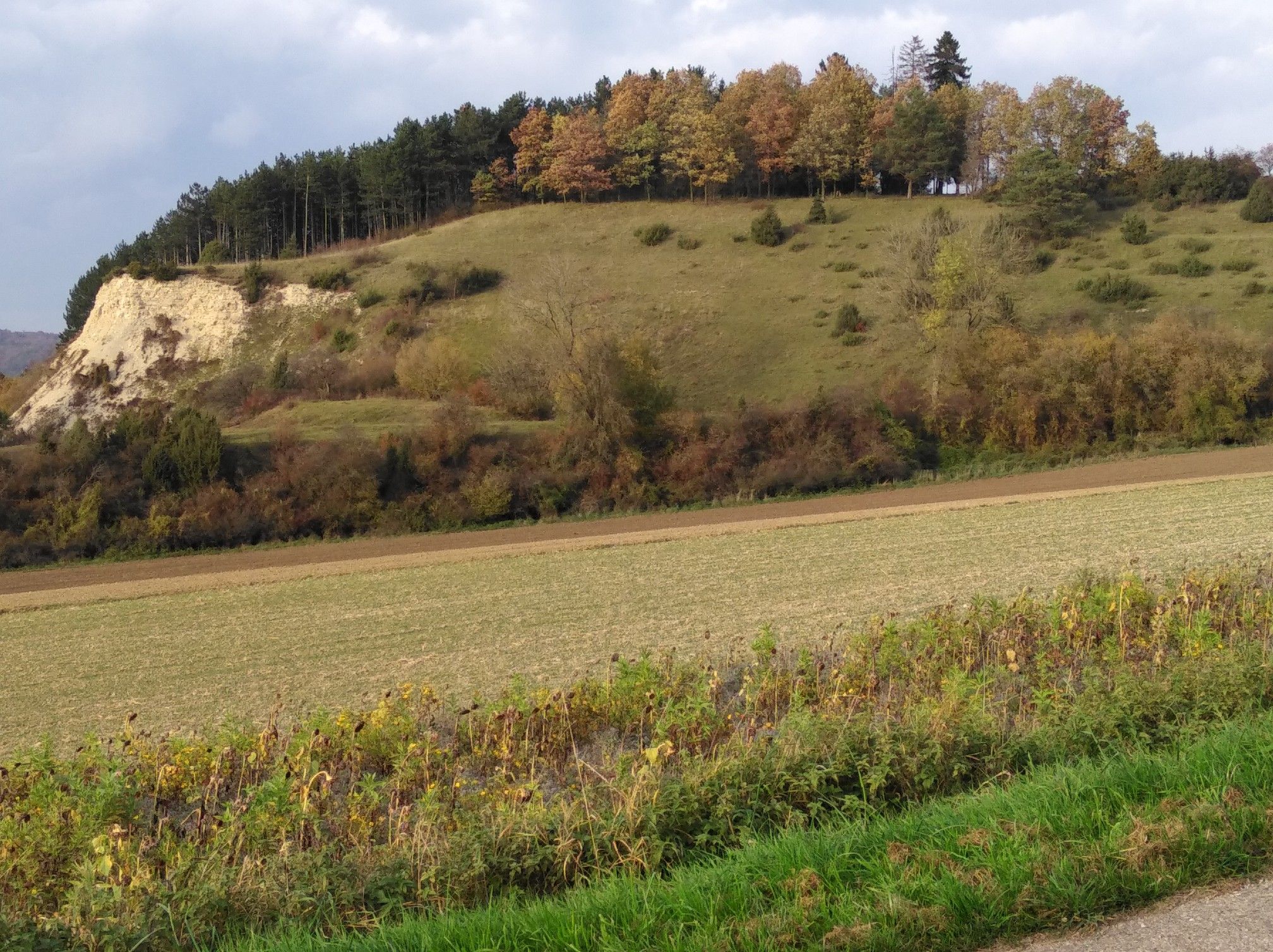 Bolberg in Hausen