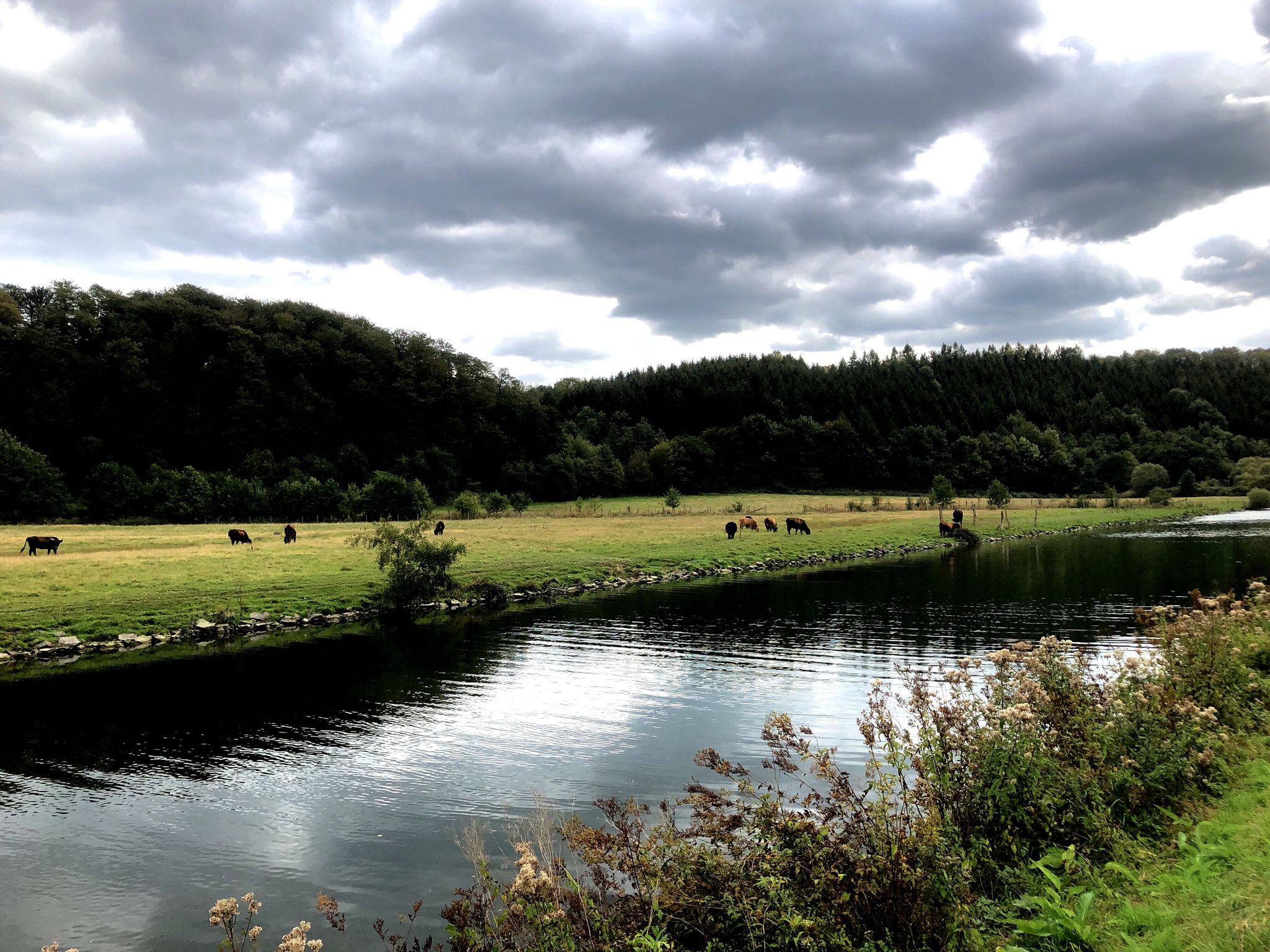 Richtung Stausee II und Vilkerath