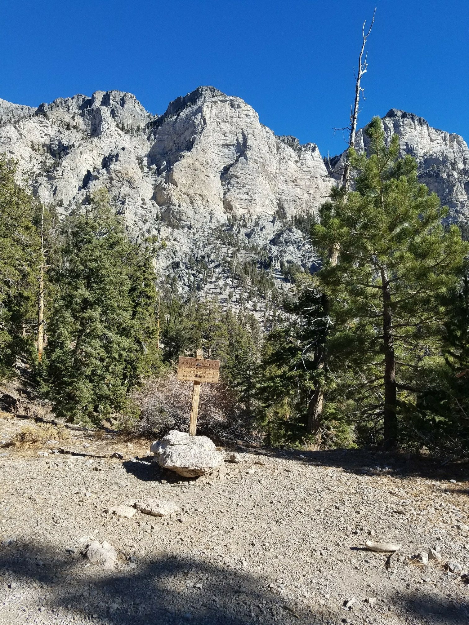 A trail sign on a rocky path with towering mountains and pine trees. - Trail Canyon Trail