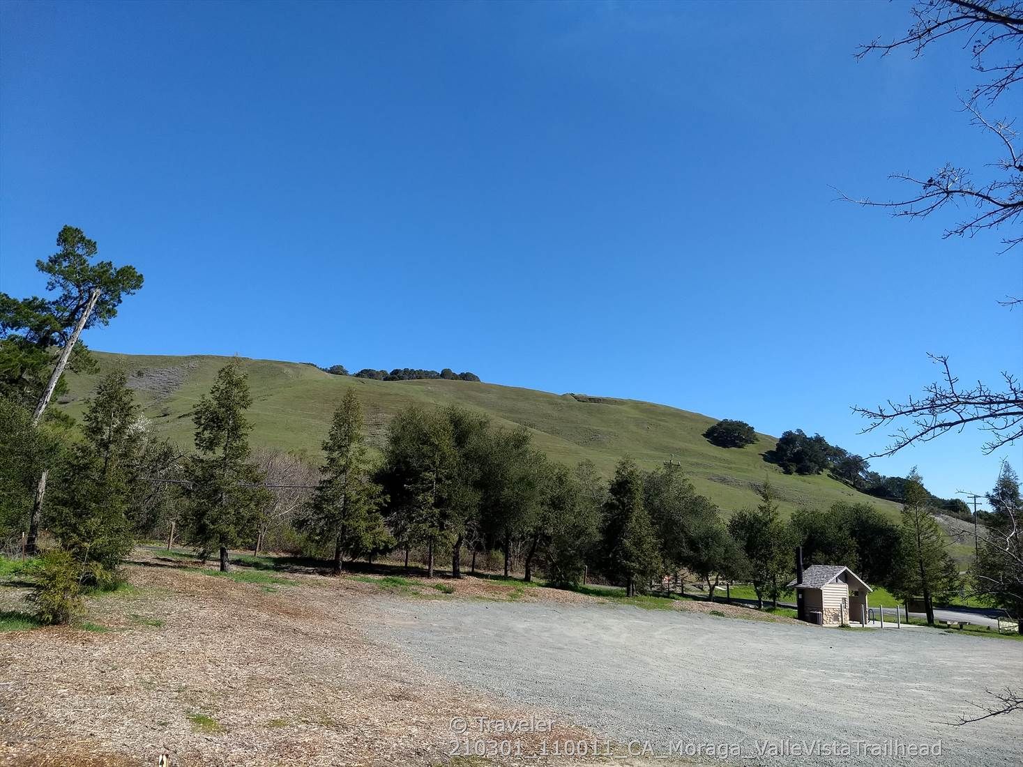 Green hillside under clear blue sky, scattered trees, and a small wooden shed. - Redwood Trail