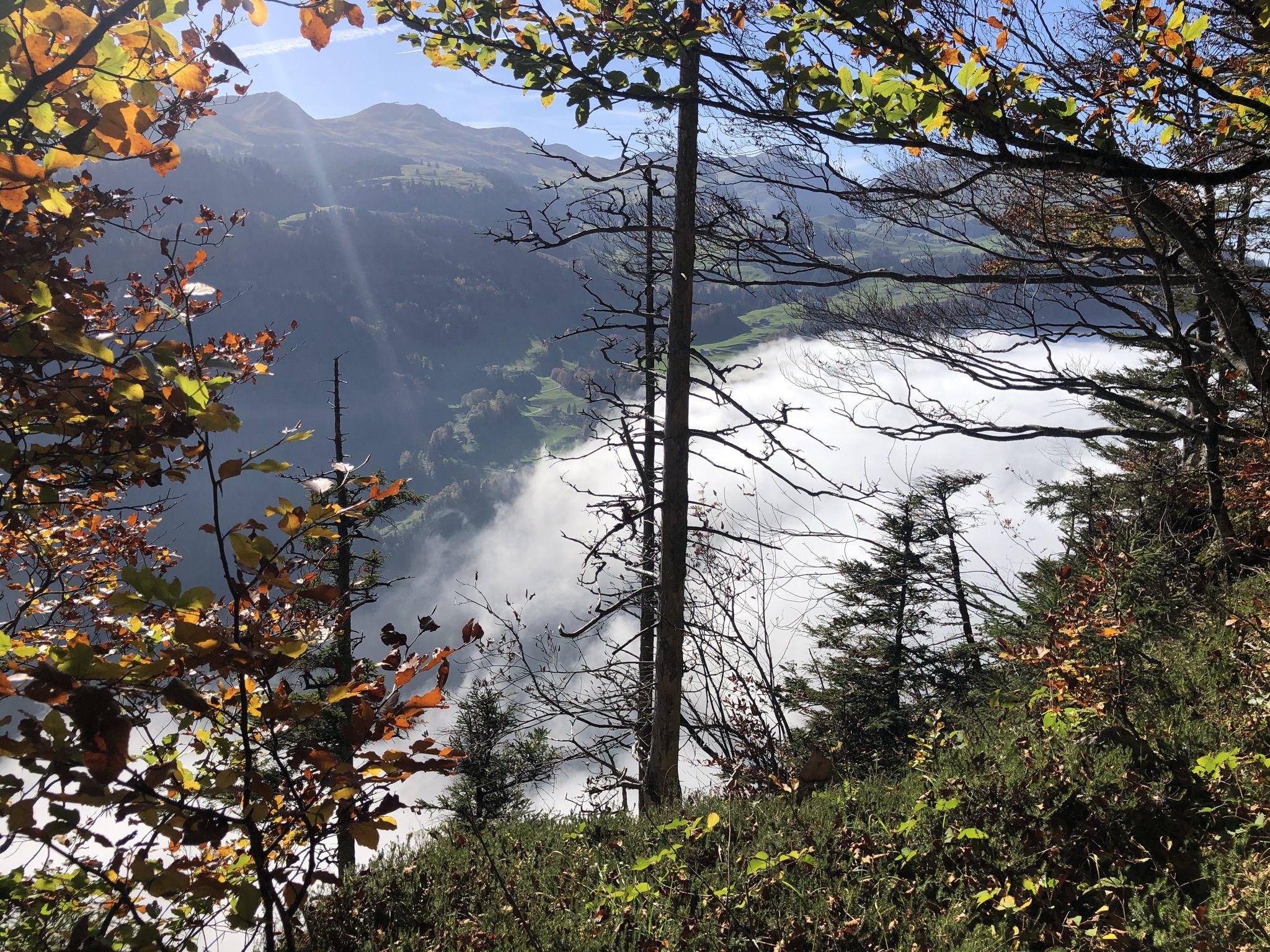 Helsana-Trail