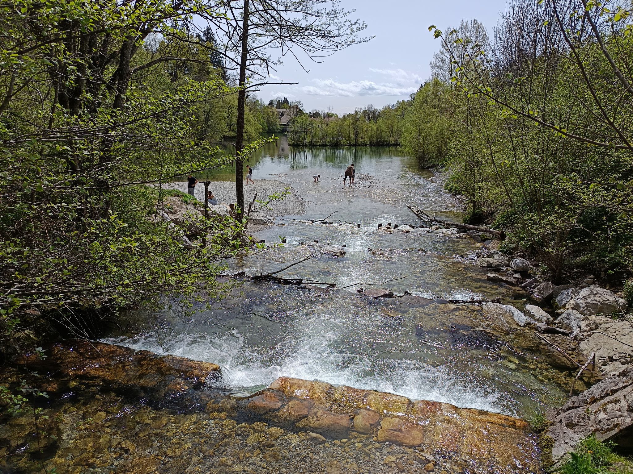 Stream Bistrica