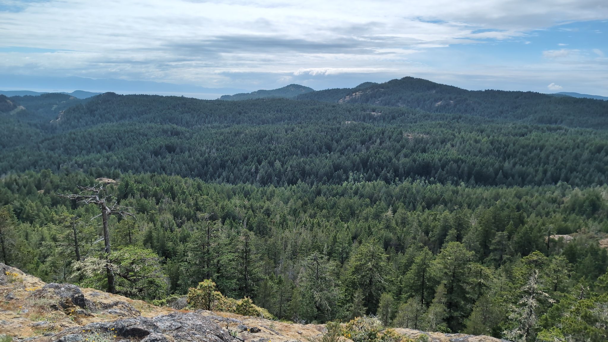 View from Mount Braden summit