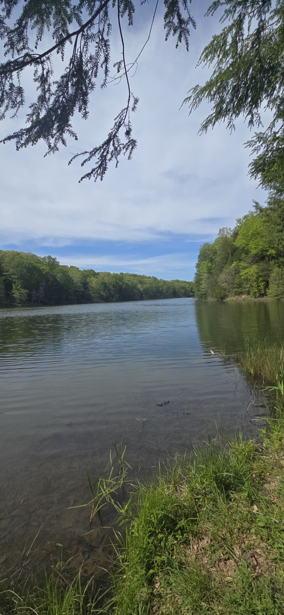 Calm lake surrounded by green trees under a partly cloudy sky. - Gorge Overlook Trail