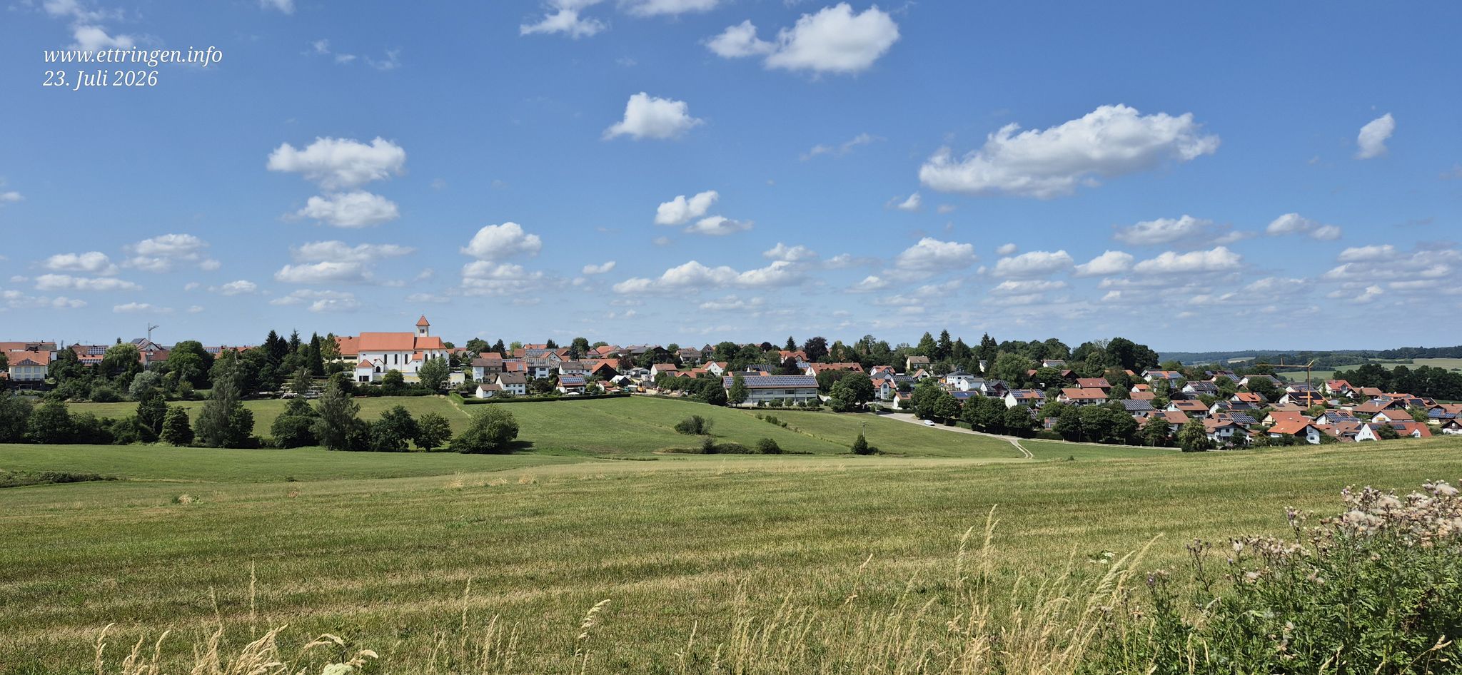 Markt Wald