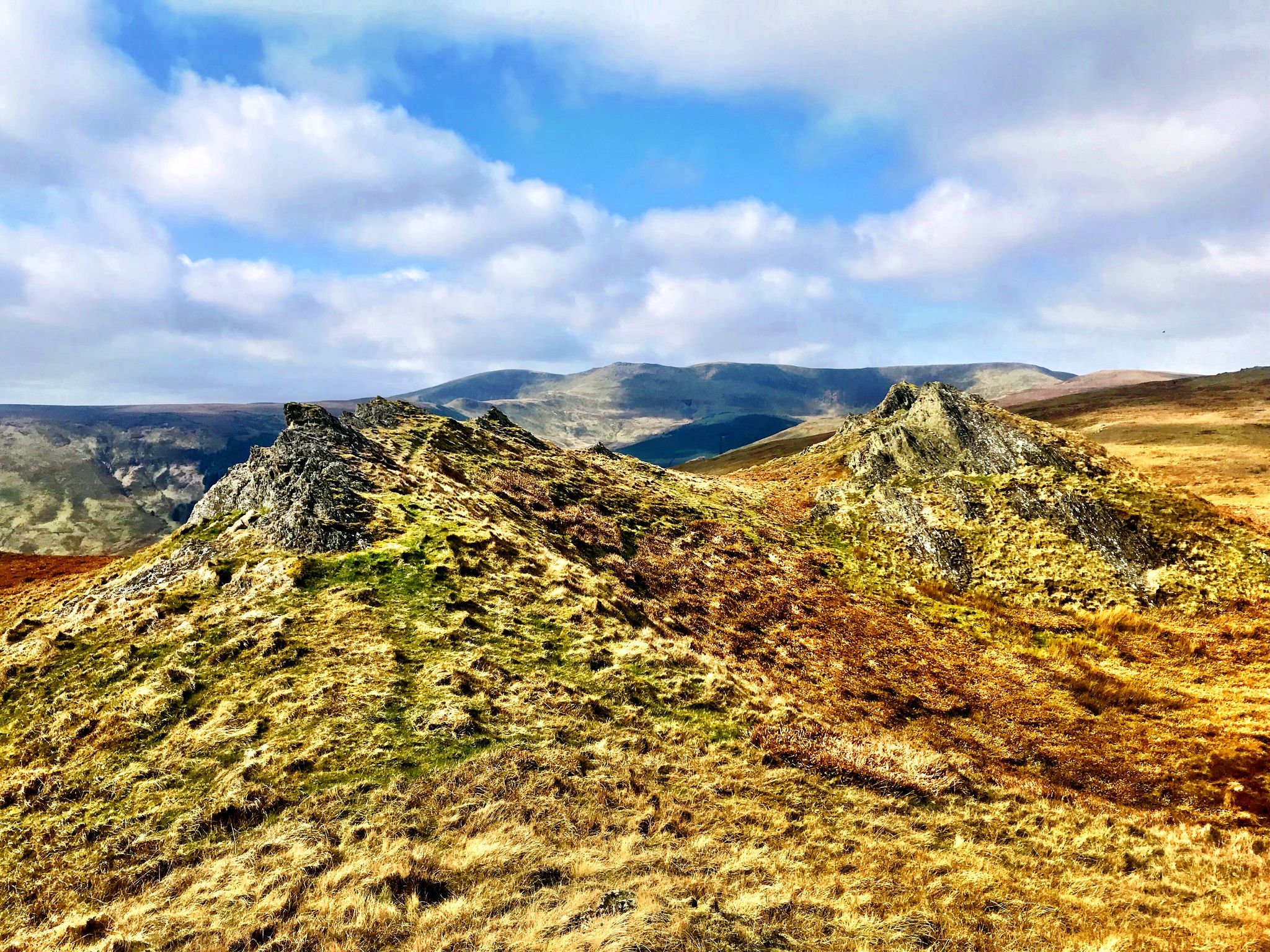 Foel Wen