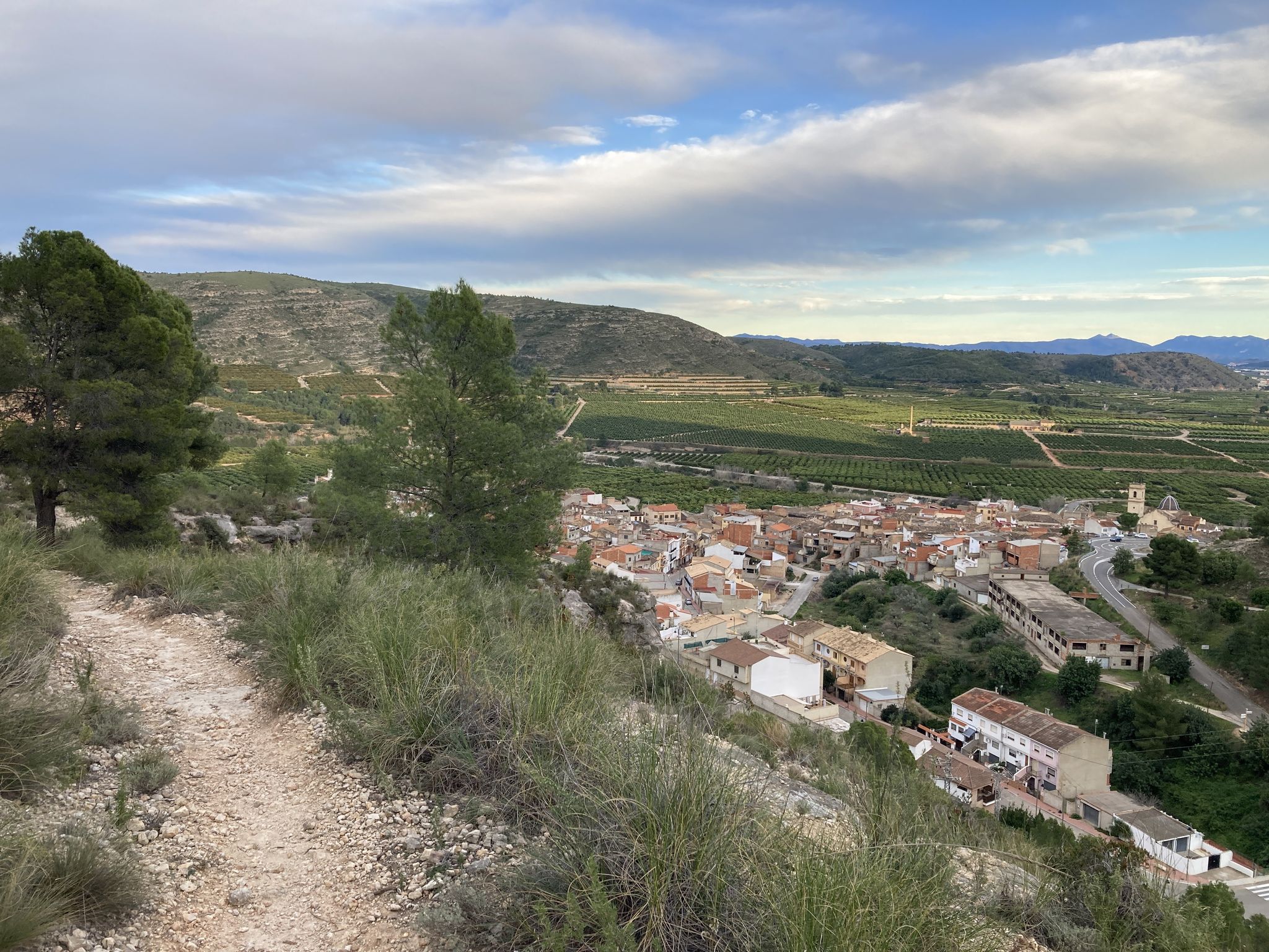 Senda Barranc de la Mare de Deu (Senda Tio-Pelegri)