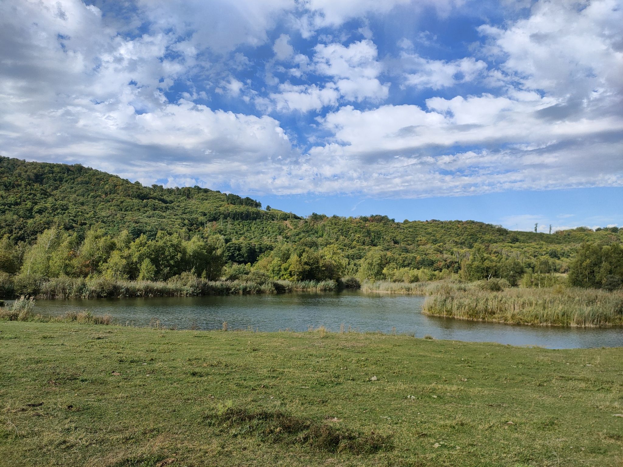 Étang du Grand Lemps