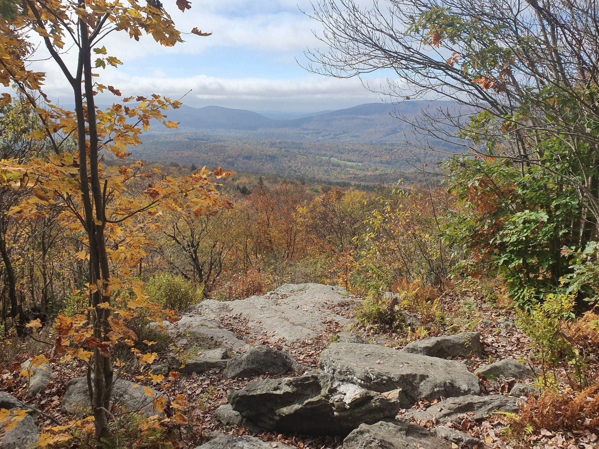 Scenic Vista
