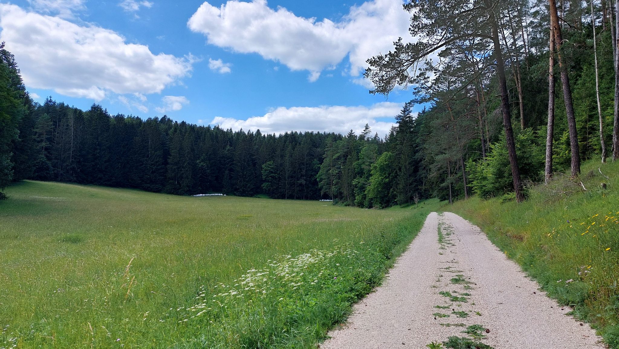 Ein Genuss hier zu radeln