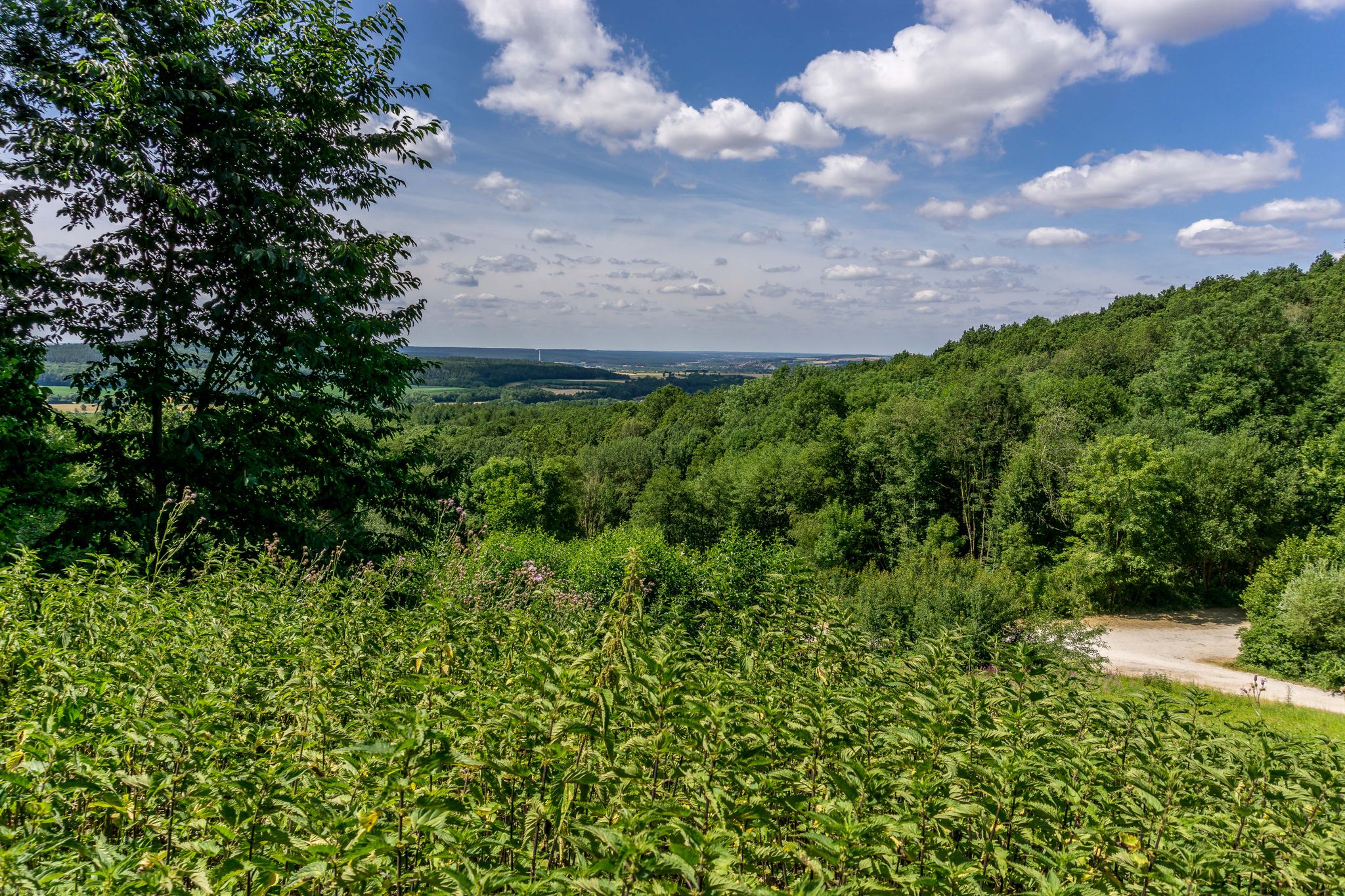 landschaftliche Impression