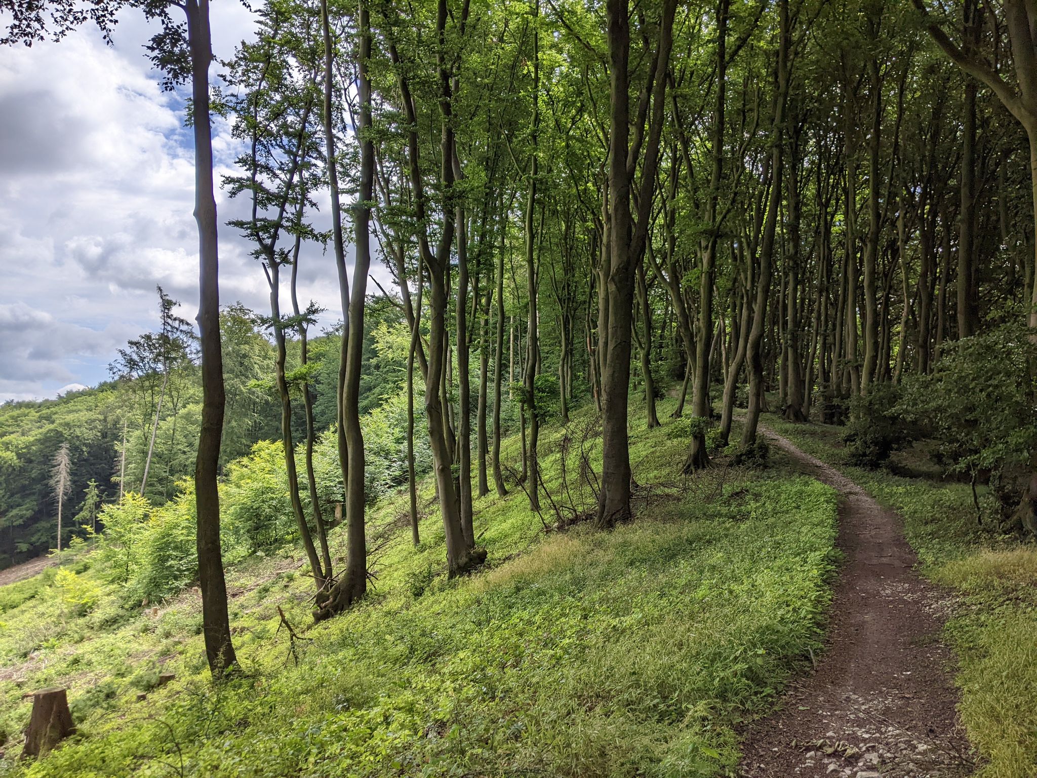 Het pad is hier heerlijk smal en rotsachtig met mooie uitzichten. Precies wat ik zoek in een 'bergwandeling'.