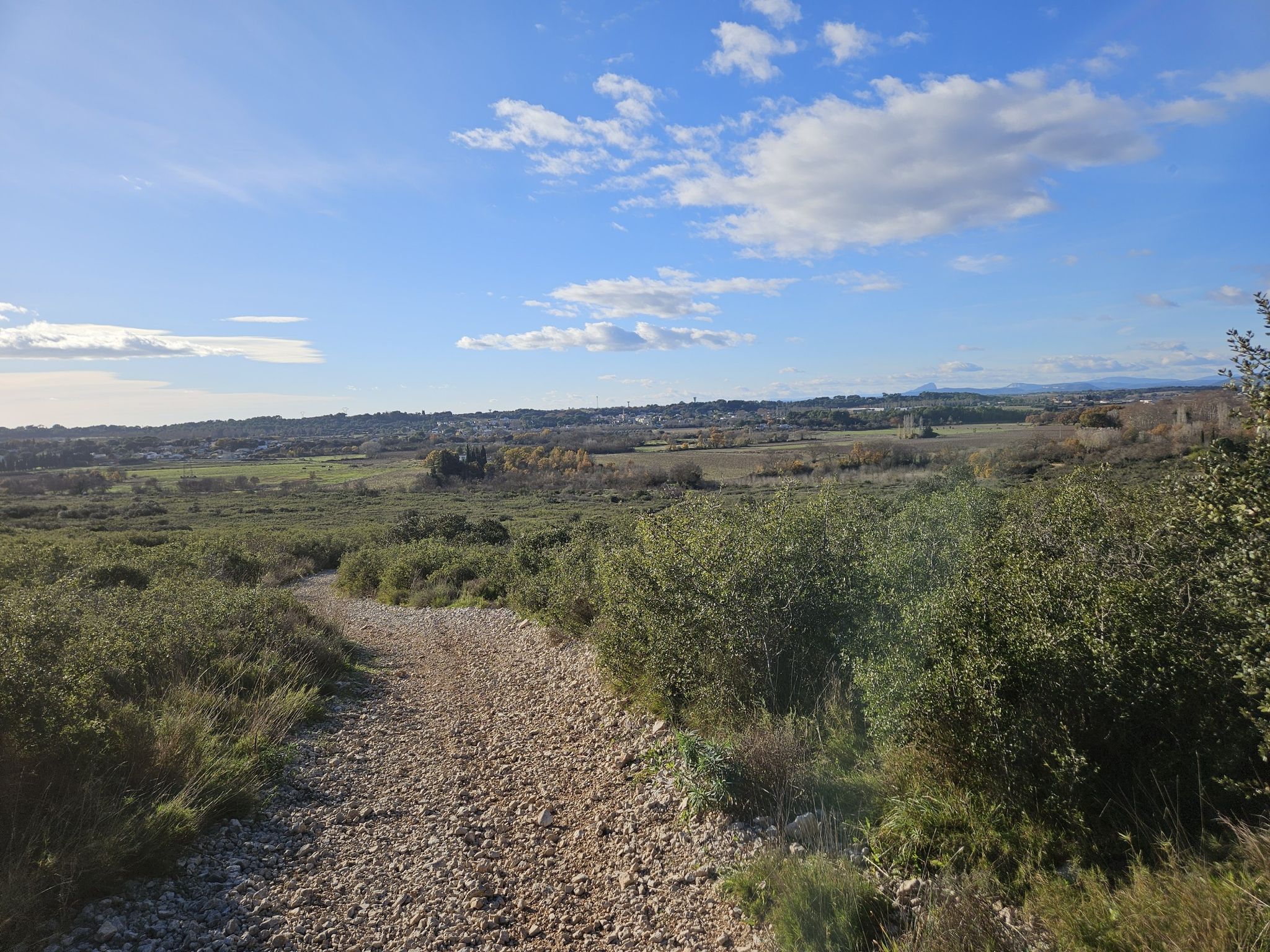 Saint-Sériès et les cevennes au fond