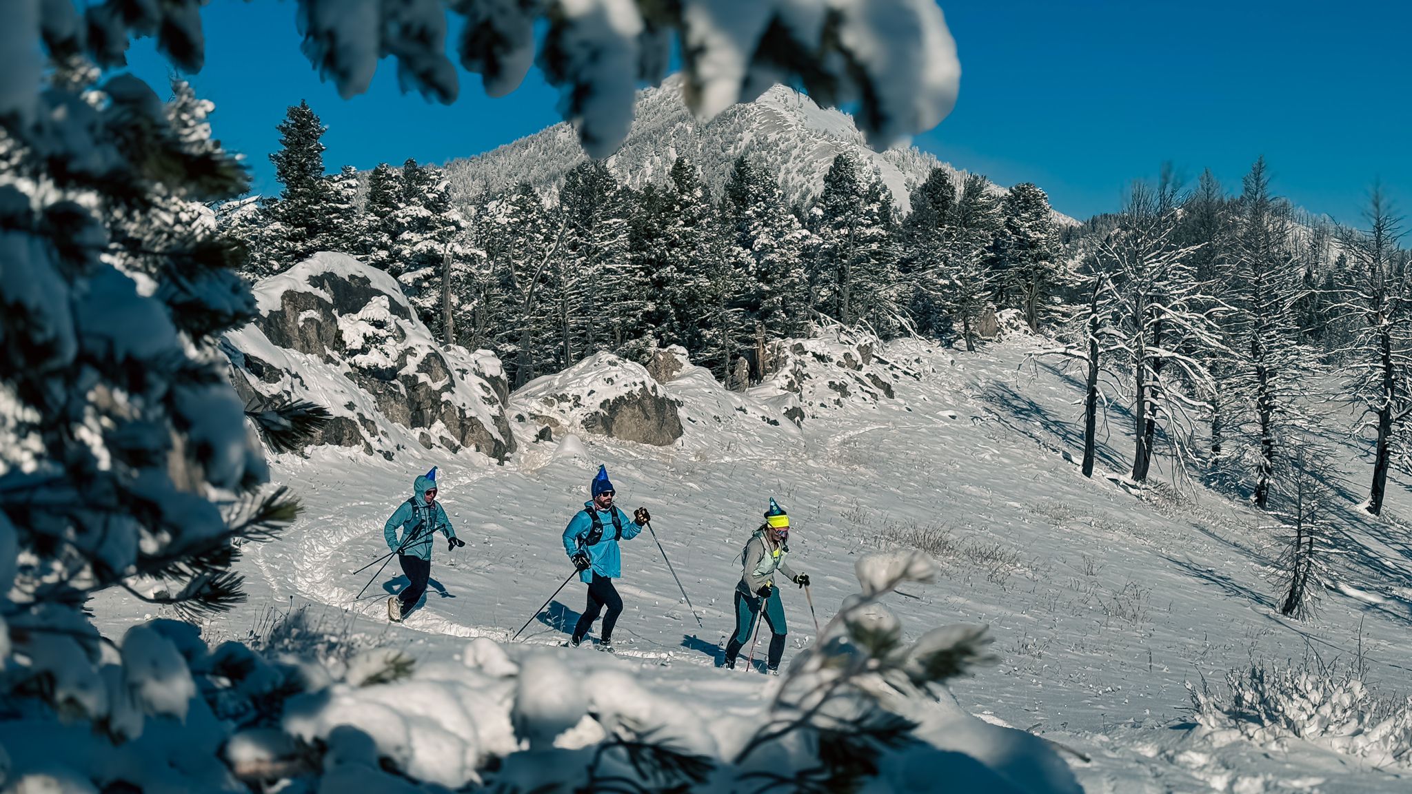 Three people cross-country skiing on a snowy trail through pine trees. - Signpost for trail directions – Drinking Horse Trailhead loop from Bozeman