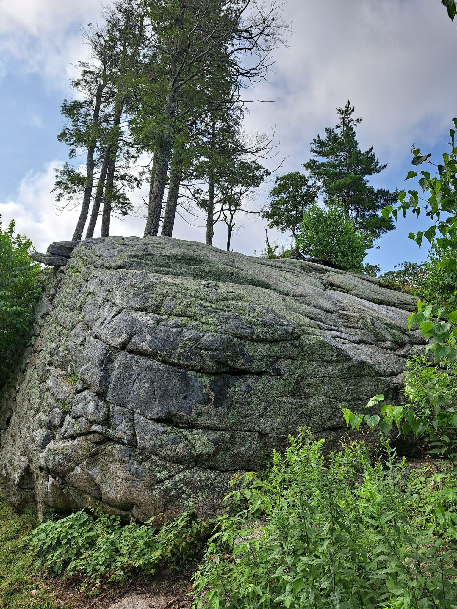 Large mossy rock formation with tall trees on top under a bright sky. - Second Hill loop — Mt. Agamenticus Conservation Region
