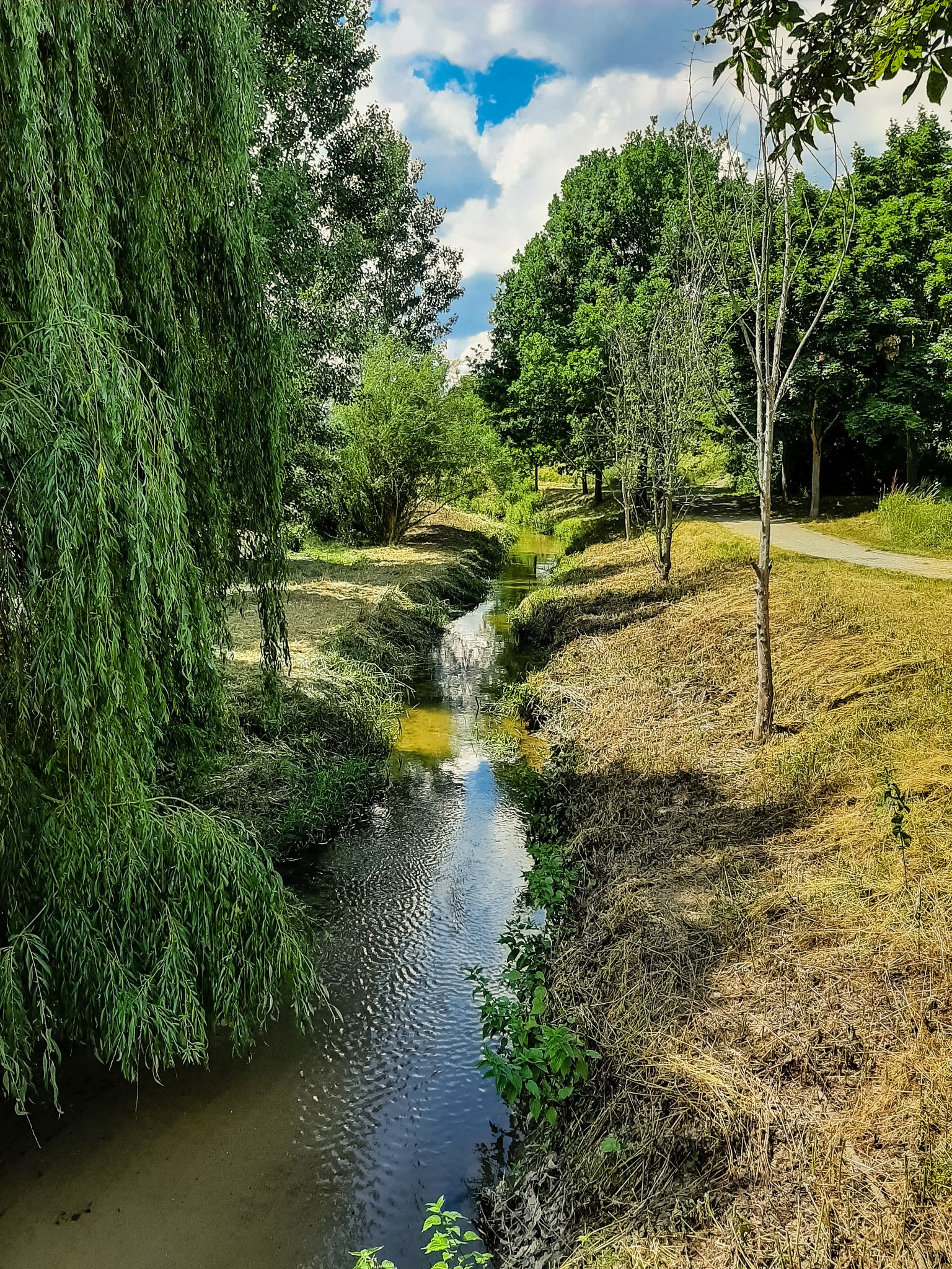 Am Kriegbach bei Neulußheim