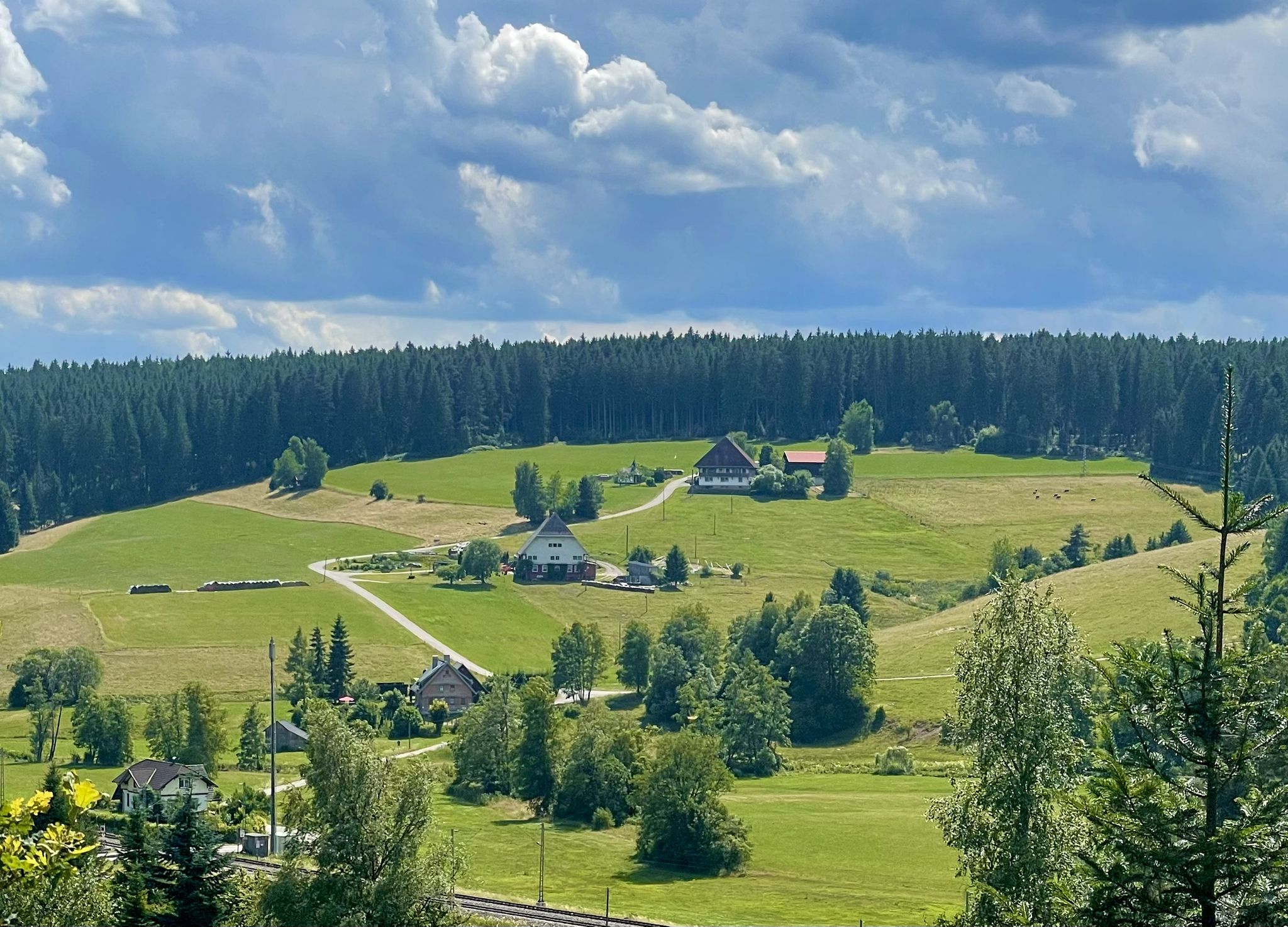 Ausblick Schwarzwald
