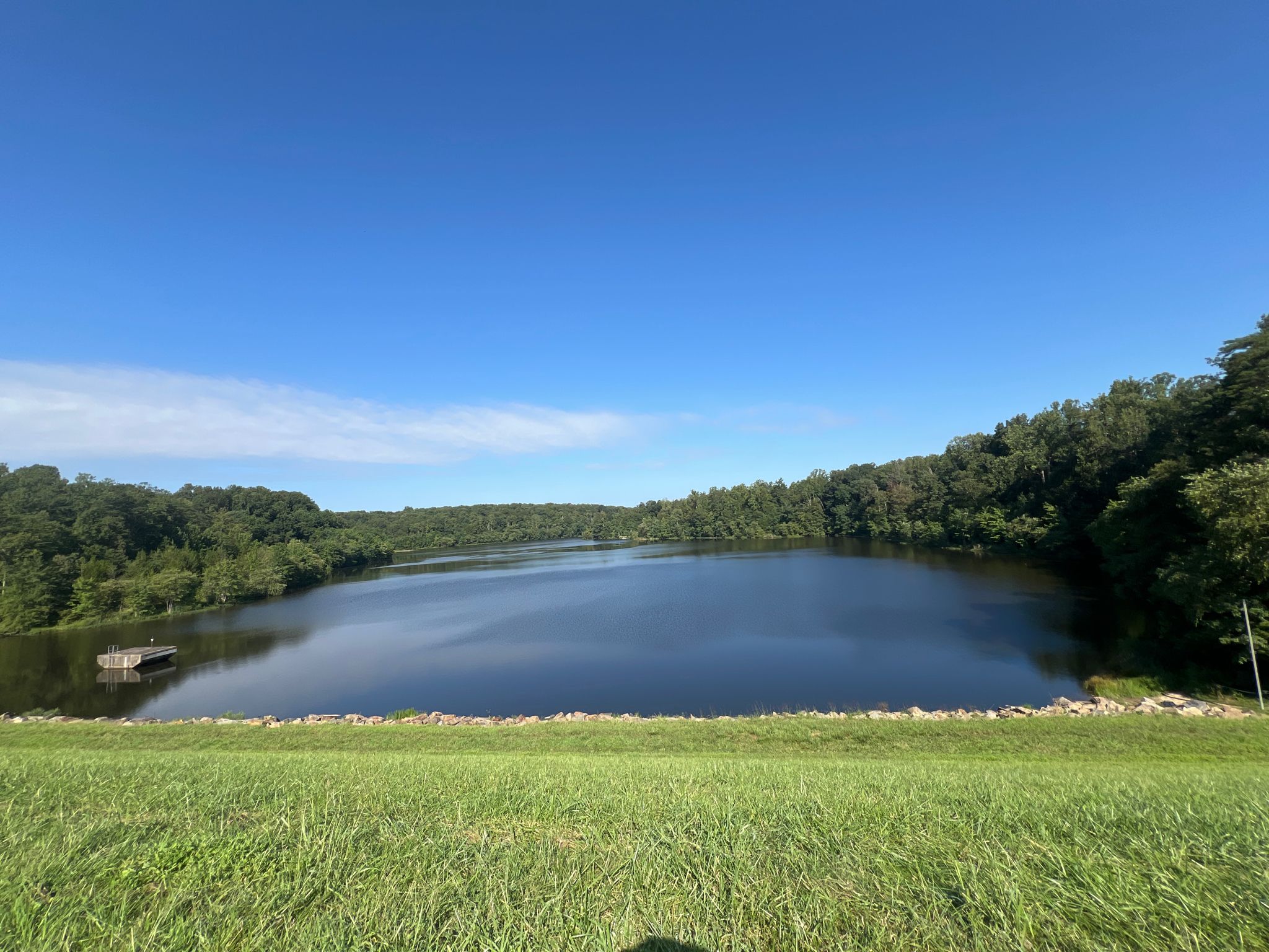 Wide lake surrounded by green trees under a clear blue sky. - Lake Mercer – View of Burke Lake loop from South Run