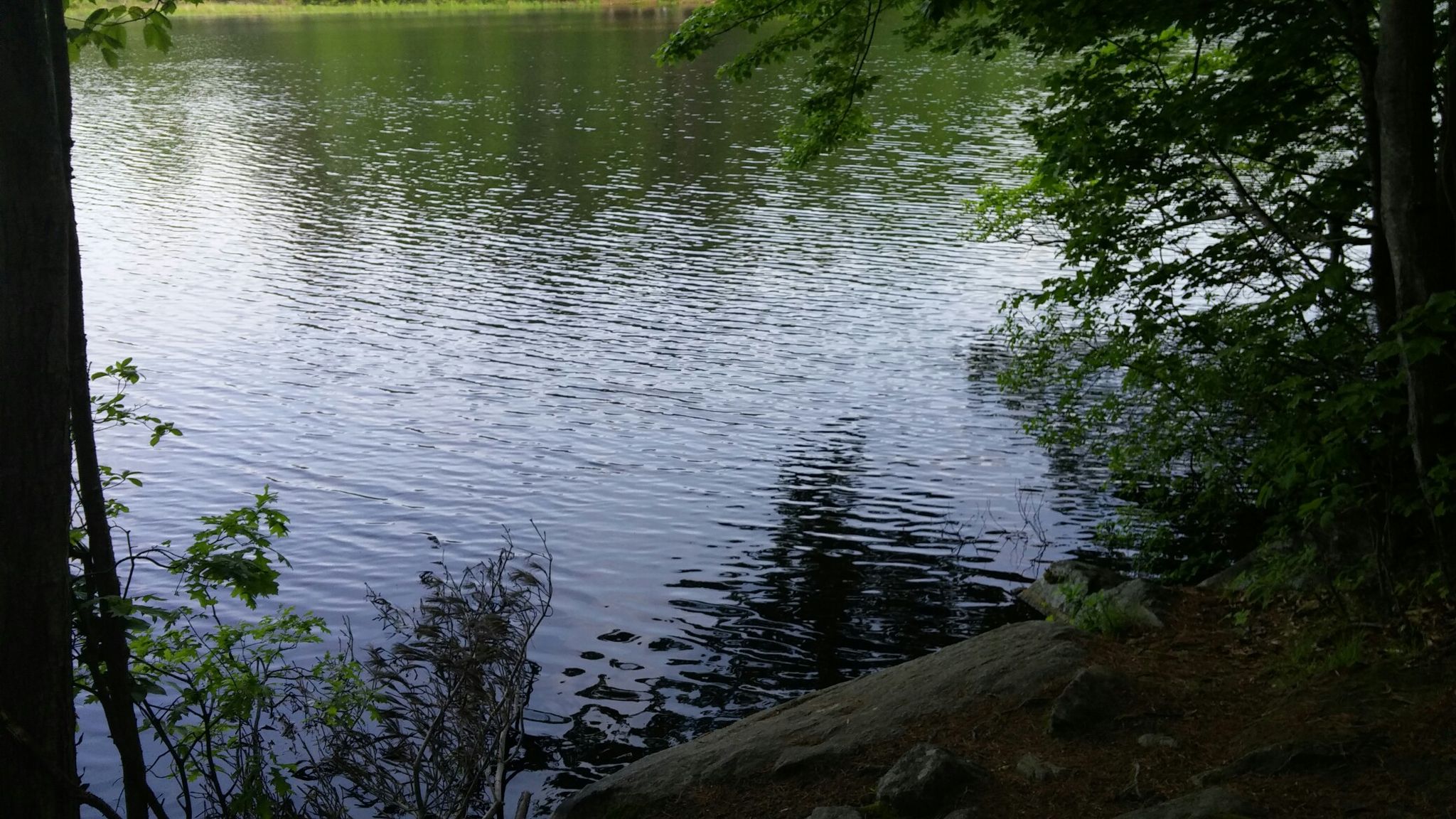 Shelton reservoir.  Fishing allowed!