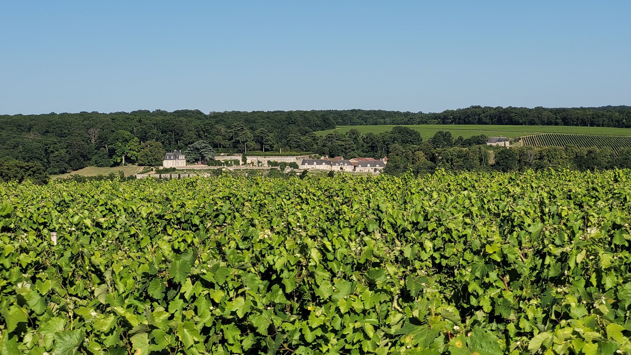 Valmer et vignes