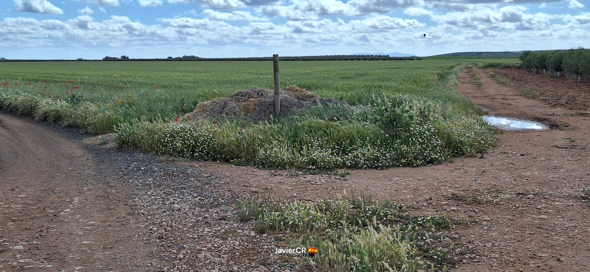 Camino de Manzanares