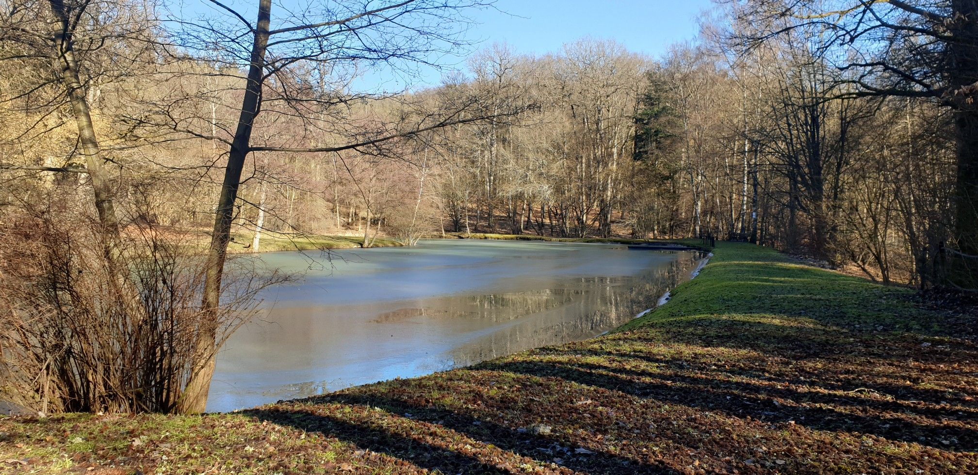 Nesselhofer Weiher