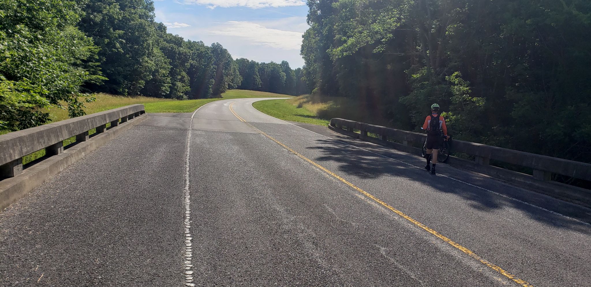 Person walks on a sunny road bridge surrounded by green trees. - Bike loop from Fairview High School