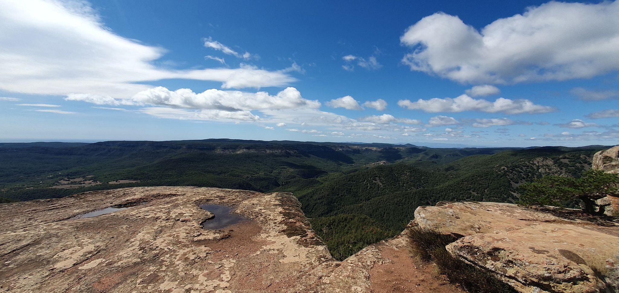 view
