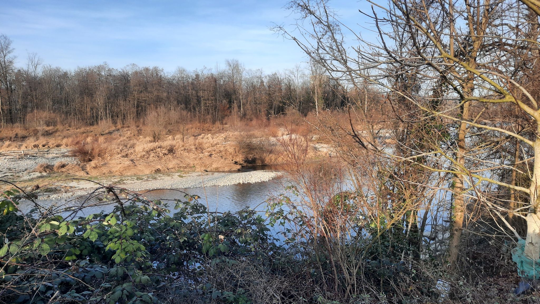 Gelungene Renaturalisierung der Aare