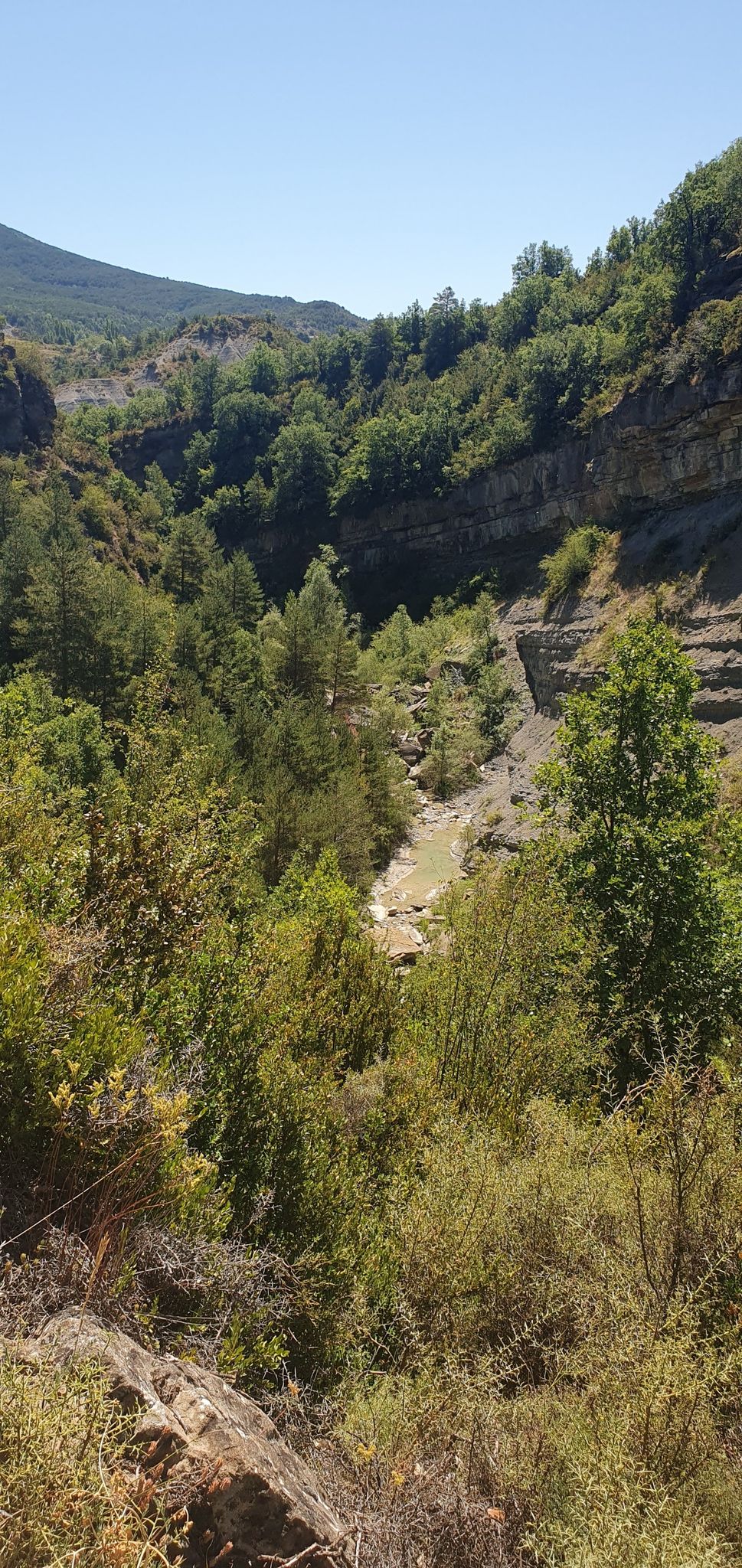 Canyon