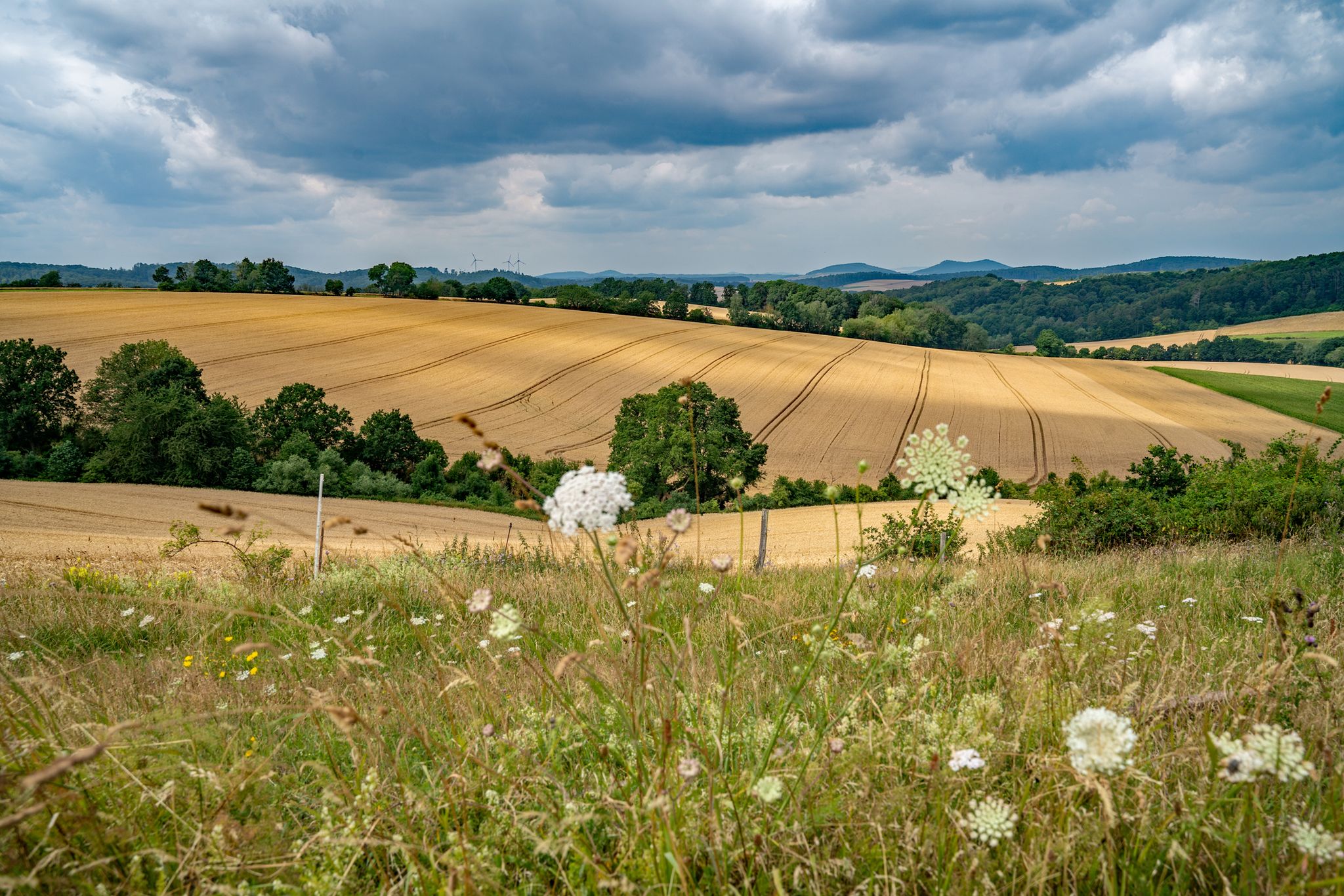ganz im Hintergrund die Göttinger Gleichen