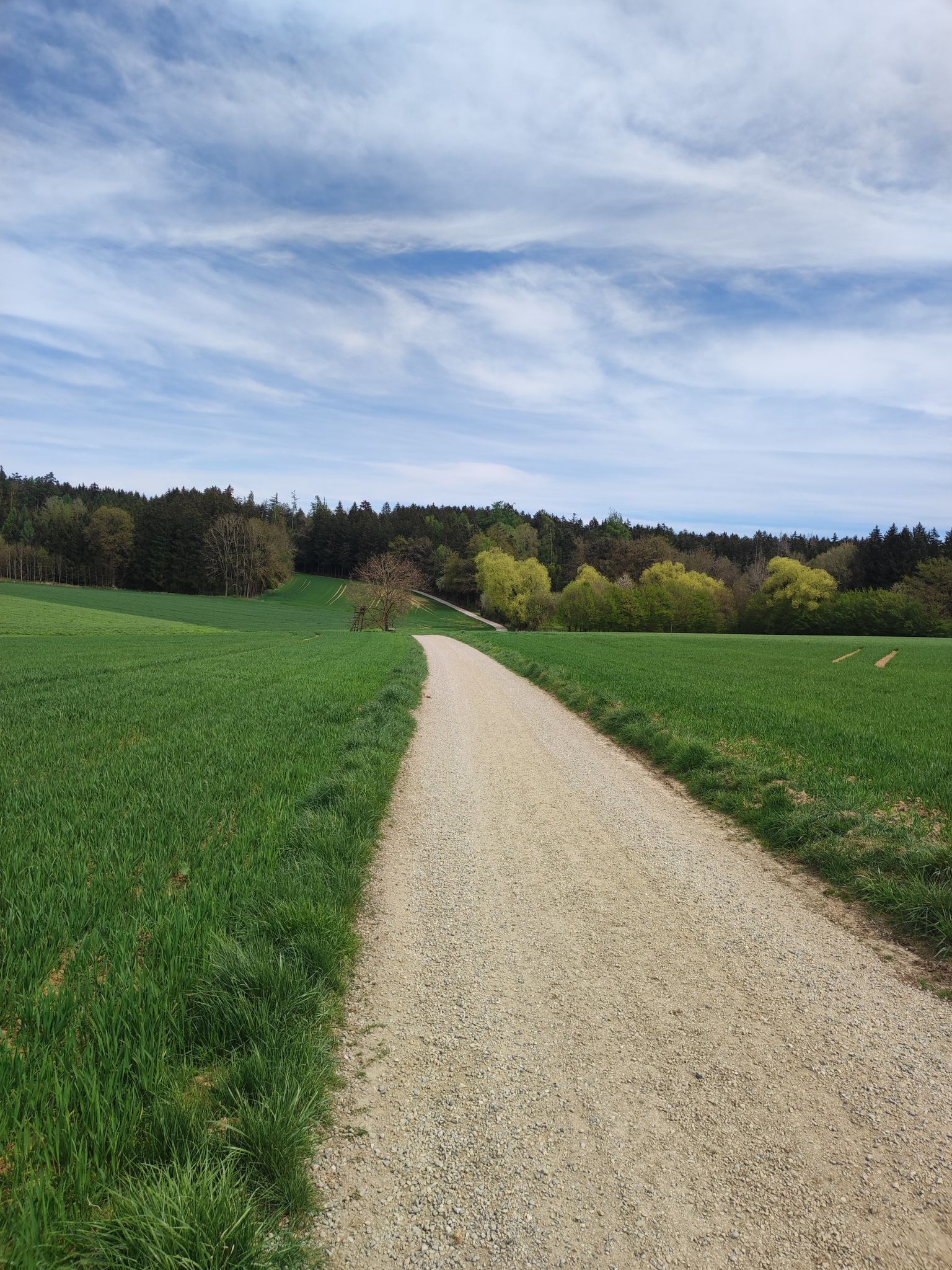 Schotterweg hinter Syboltsdorf