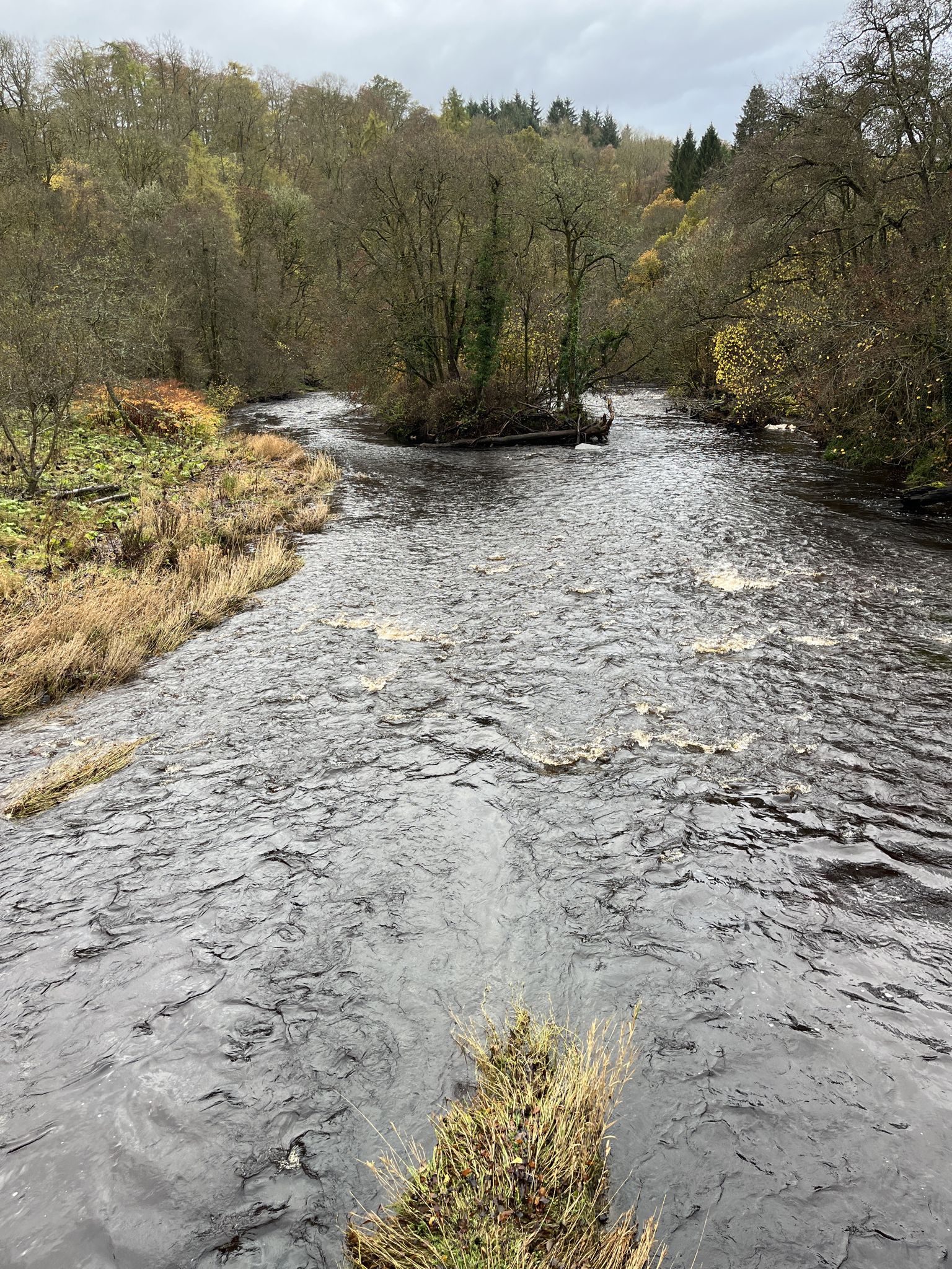 Avon Water, looking north from the Green Bridge